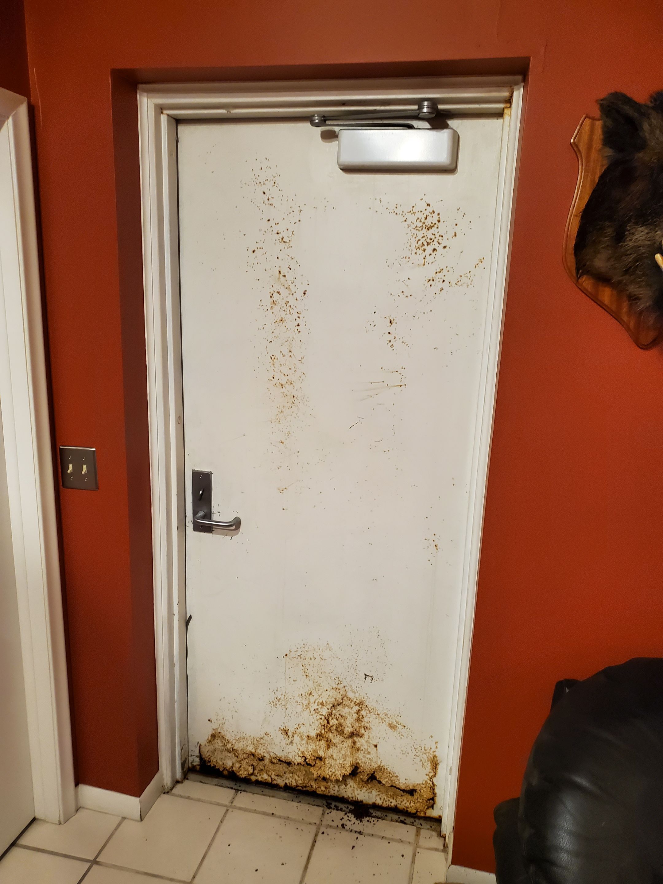 Complete Opening Replacement by FBH Architectural Security