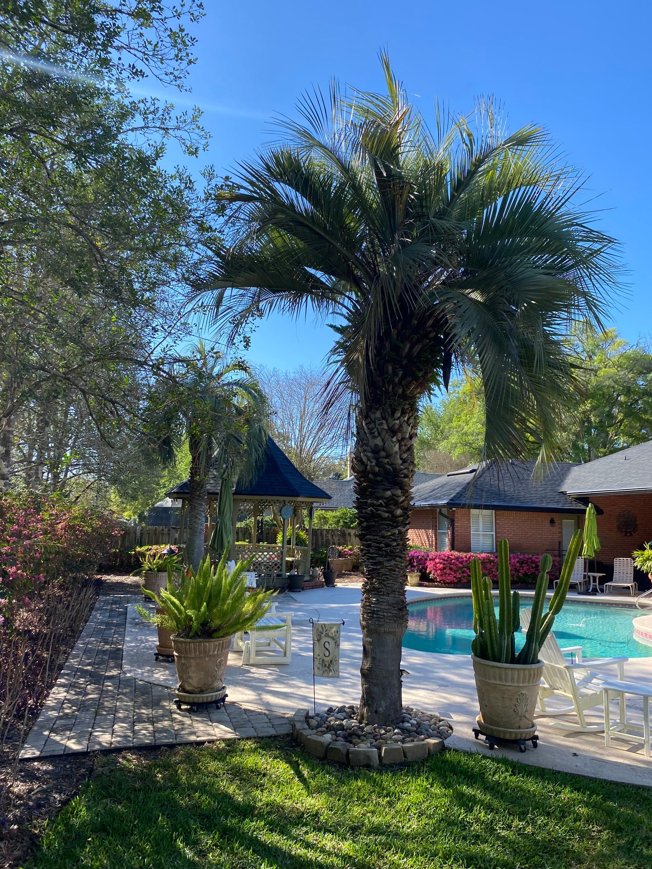 Deerwood Resident | Tree Service by ProGreen Services