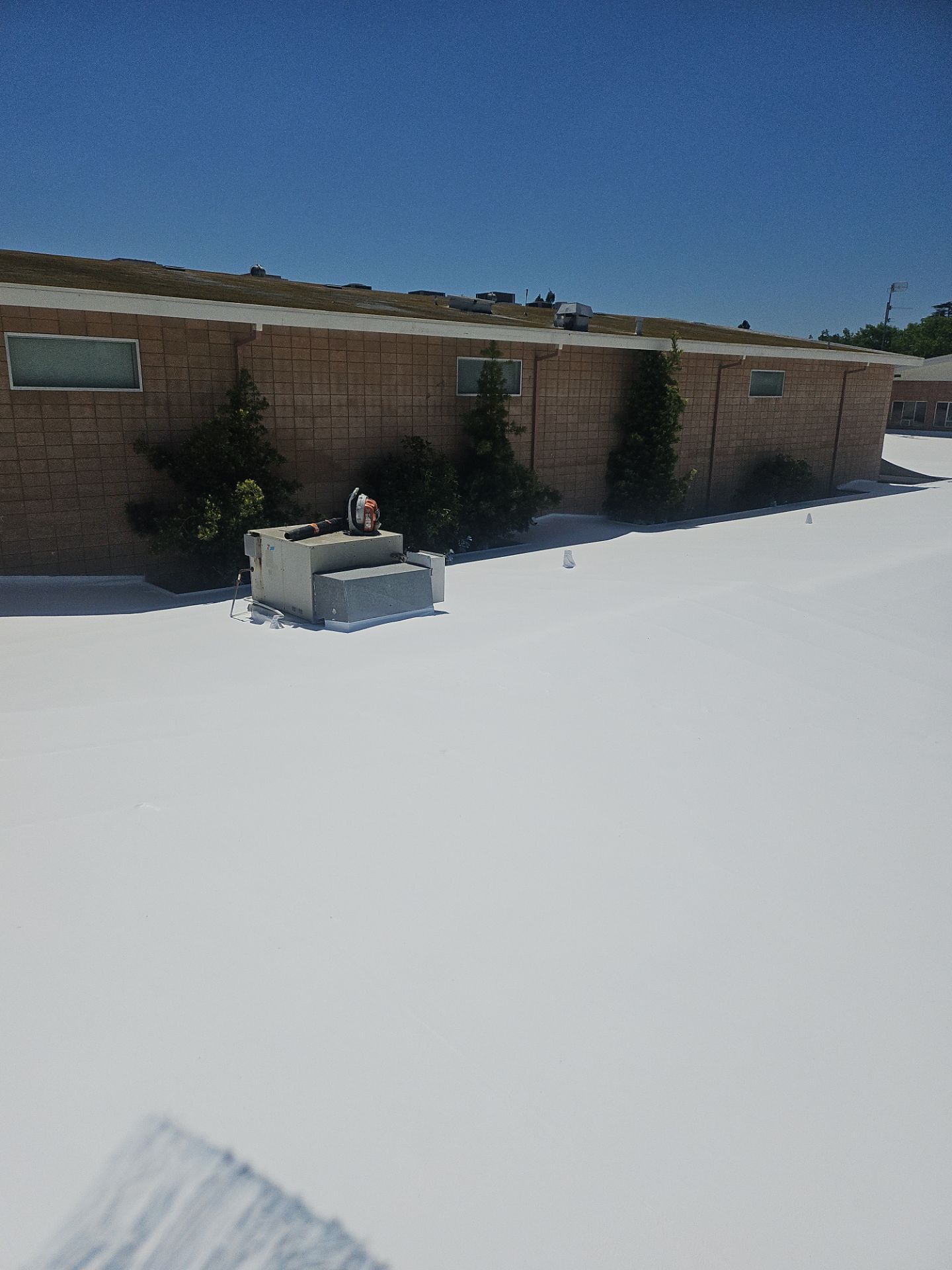 Single-ply restoration system using Benchmark/PUMA XL coatings over TPO single-ply roofing by Straight Edge Roofing Inc