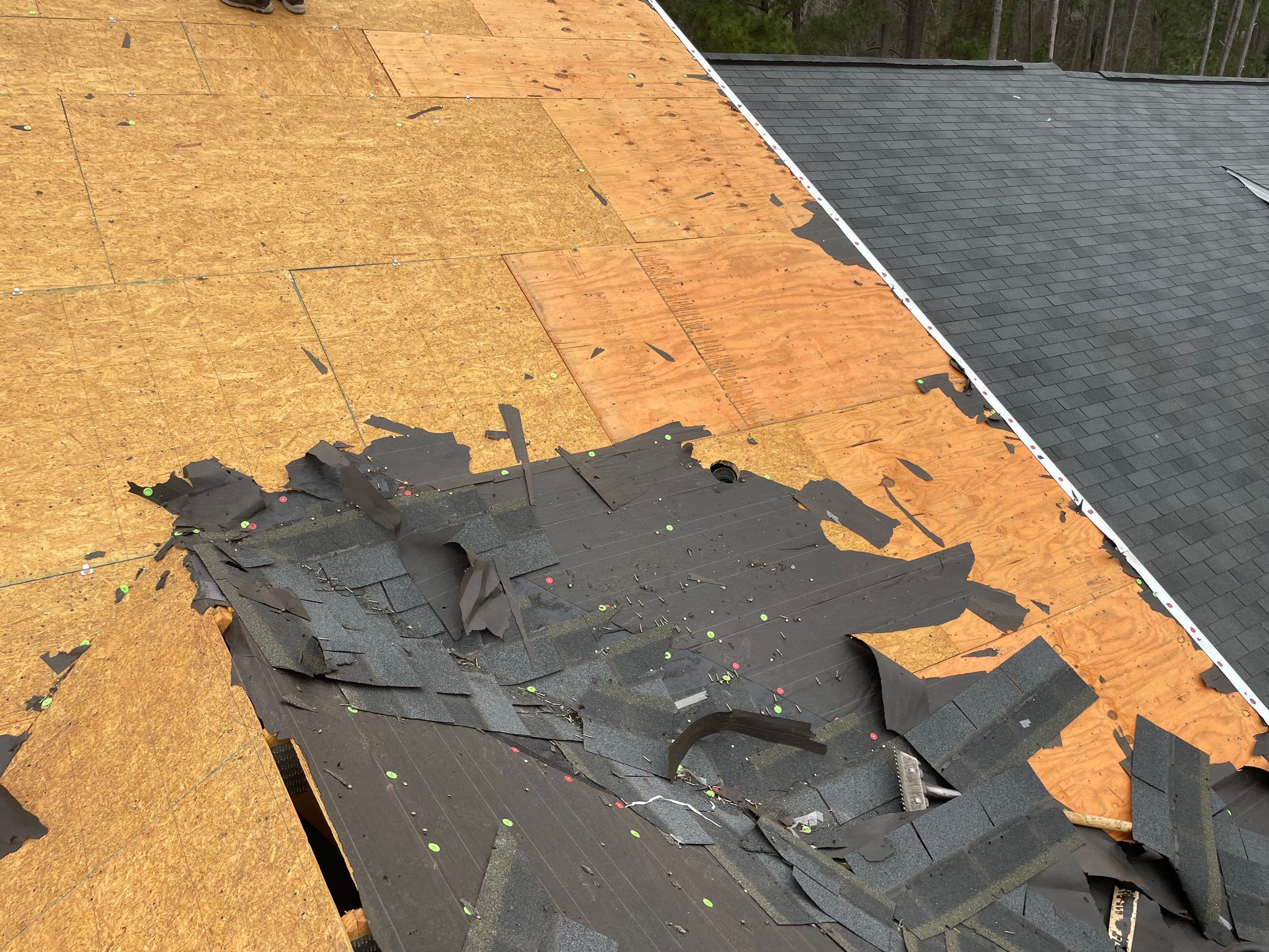 Residential Roofing Installation using Atlas Pinnacle Pristine  by Talya Roofing