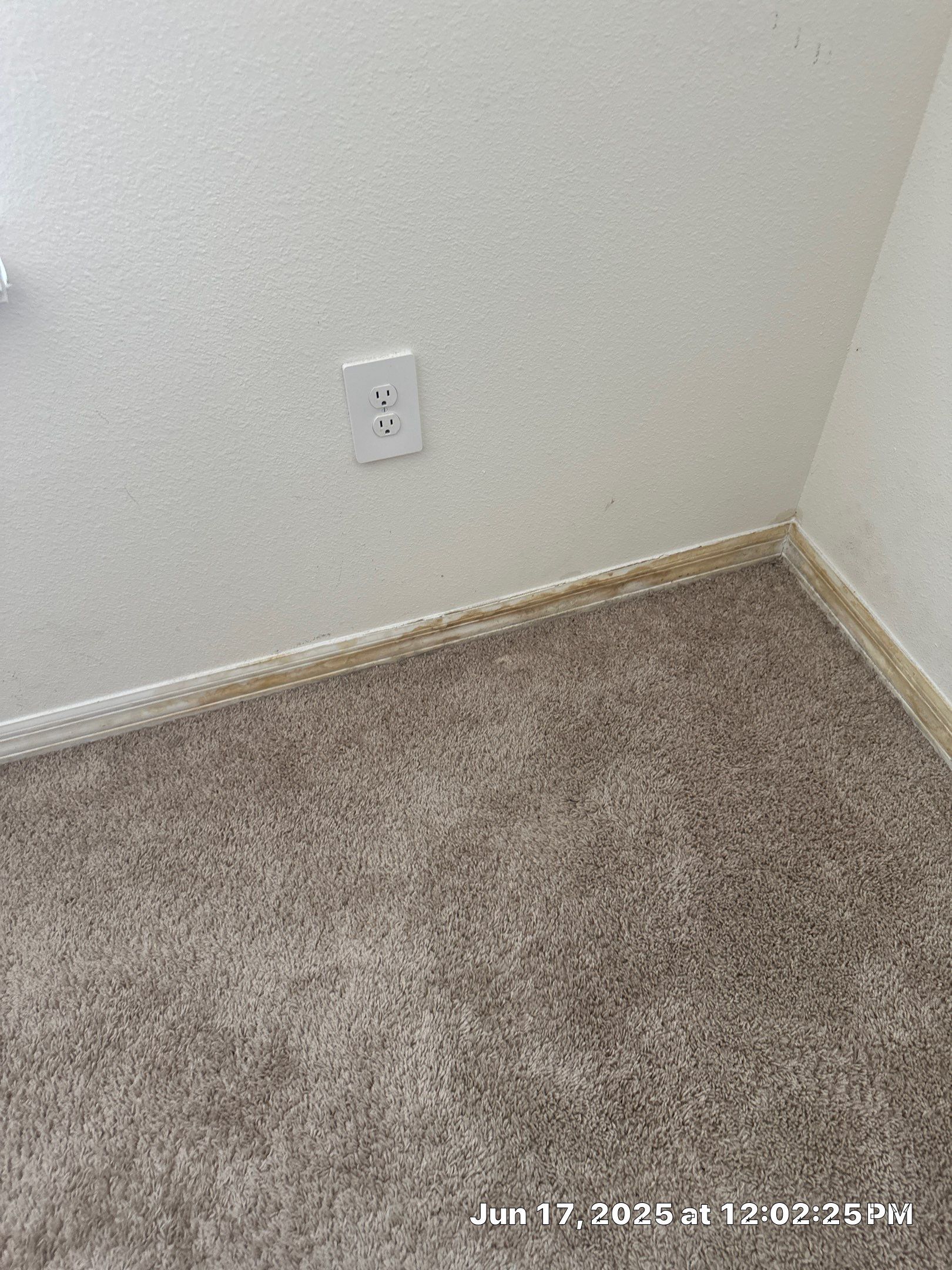 Moisture intrusion inspection with air quality testing by Building performance Solutions LLC
