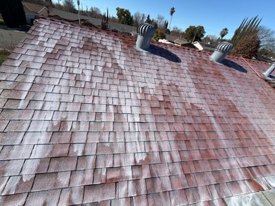 Roof Rejuvenation using Roof Maxx Treatment