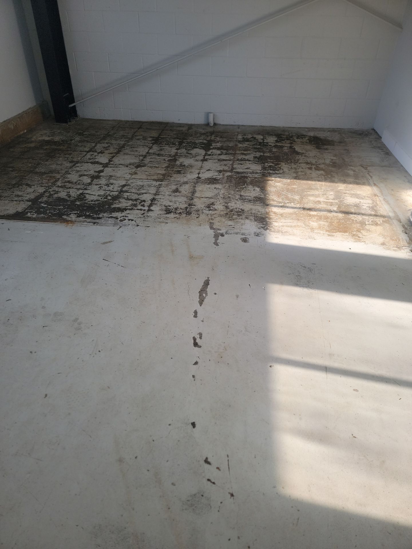 Central Coast Carts Show Room Floor by MGP Coatings