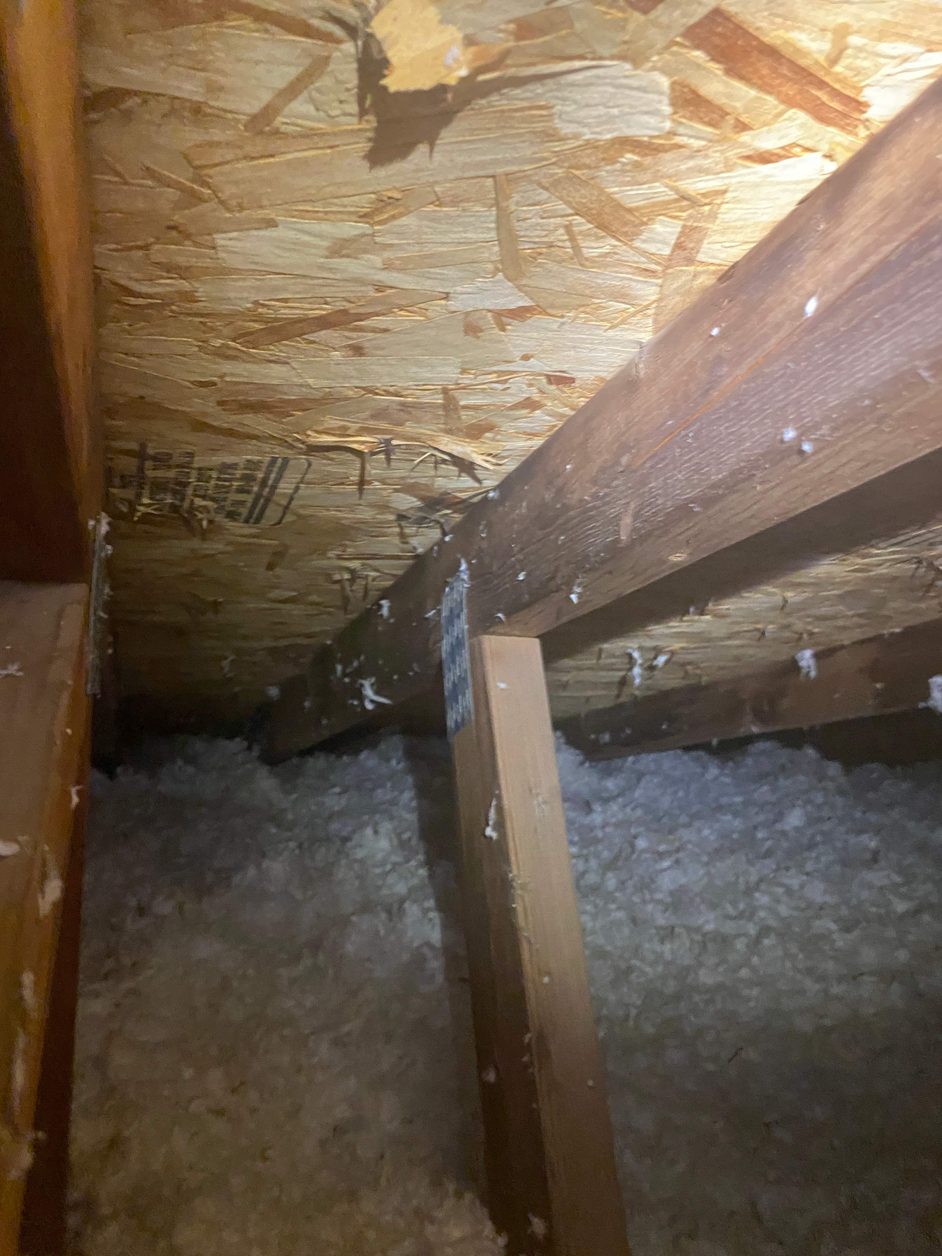 Interior Inspection by ASAP Roofing & Restoration
