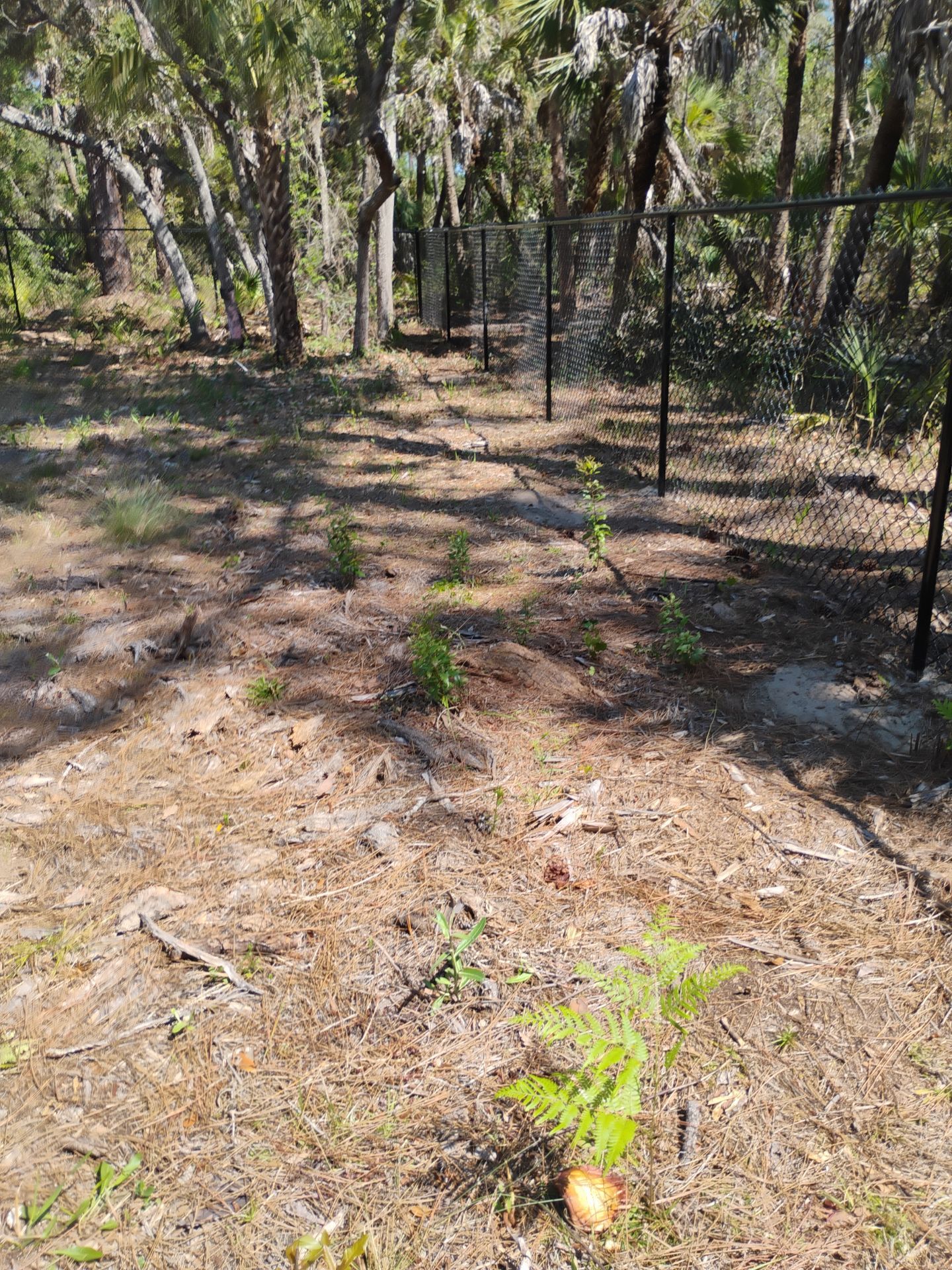 Chain Link Install in North Port by True Fence LLC