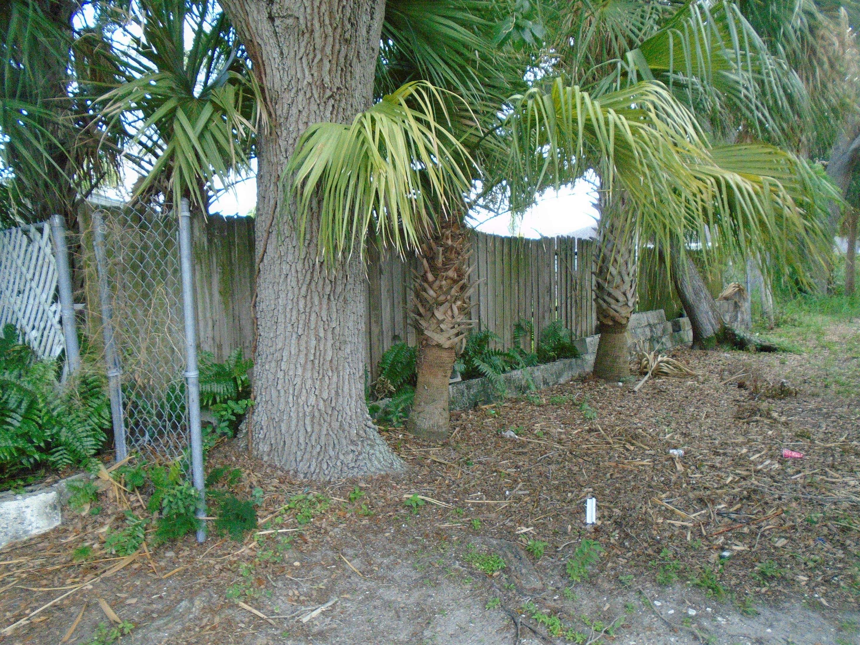 St. Petersburg 6ft. Tall Treated Board on Board by Asap fence and gates, LLC