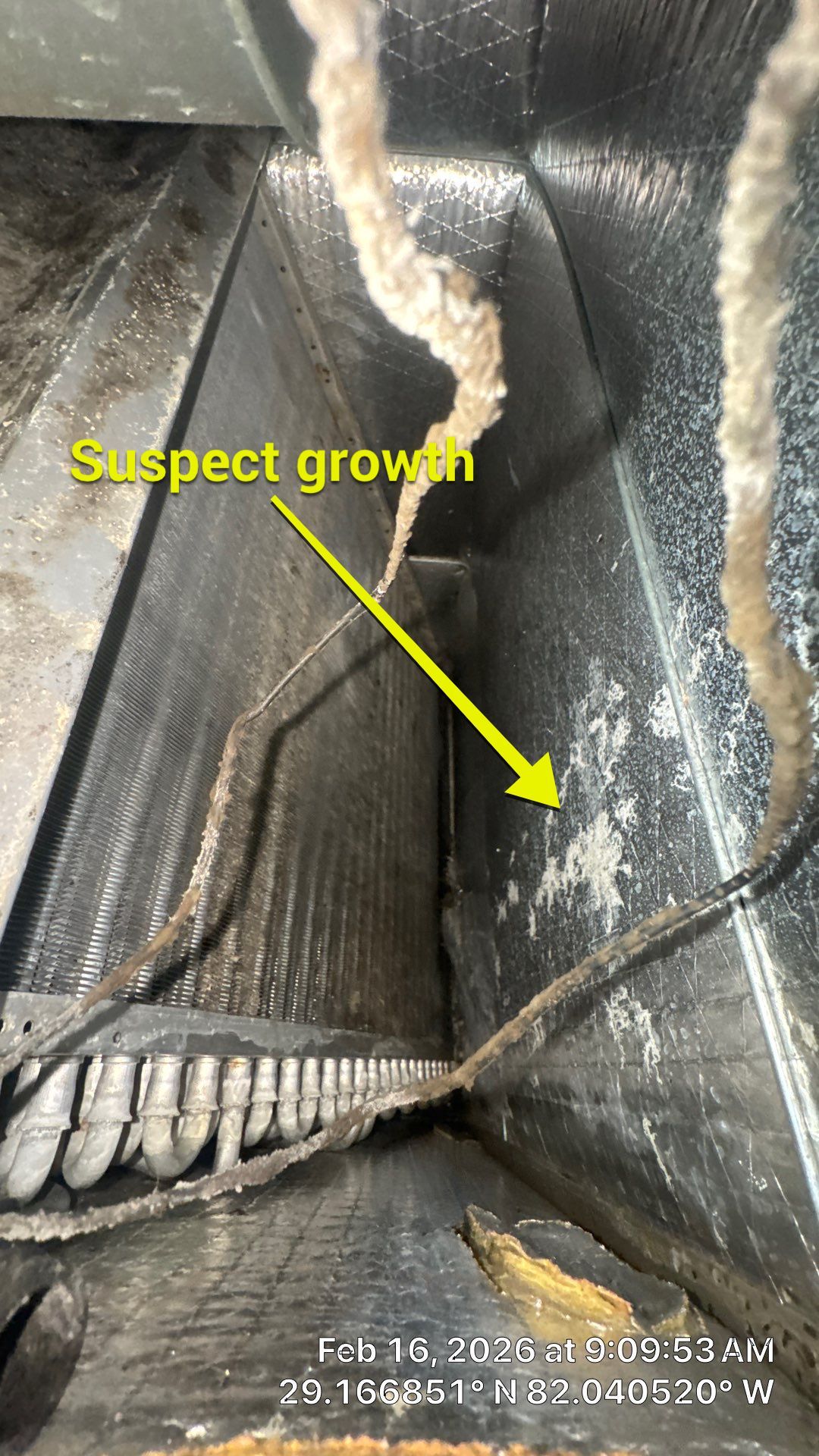 Air Duct Cleaning in Ocala by Hygienic Air, Inc
