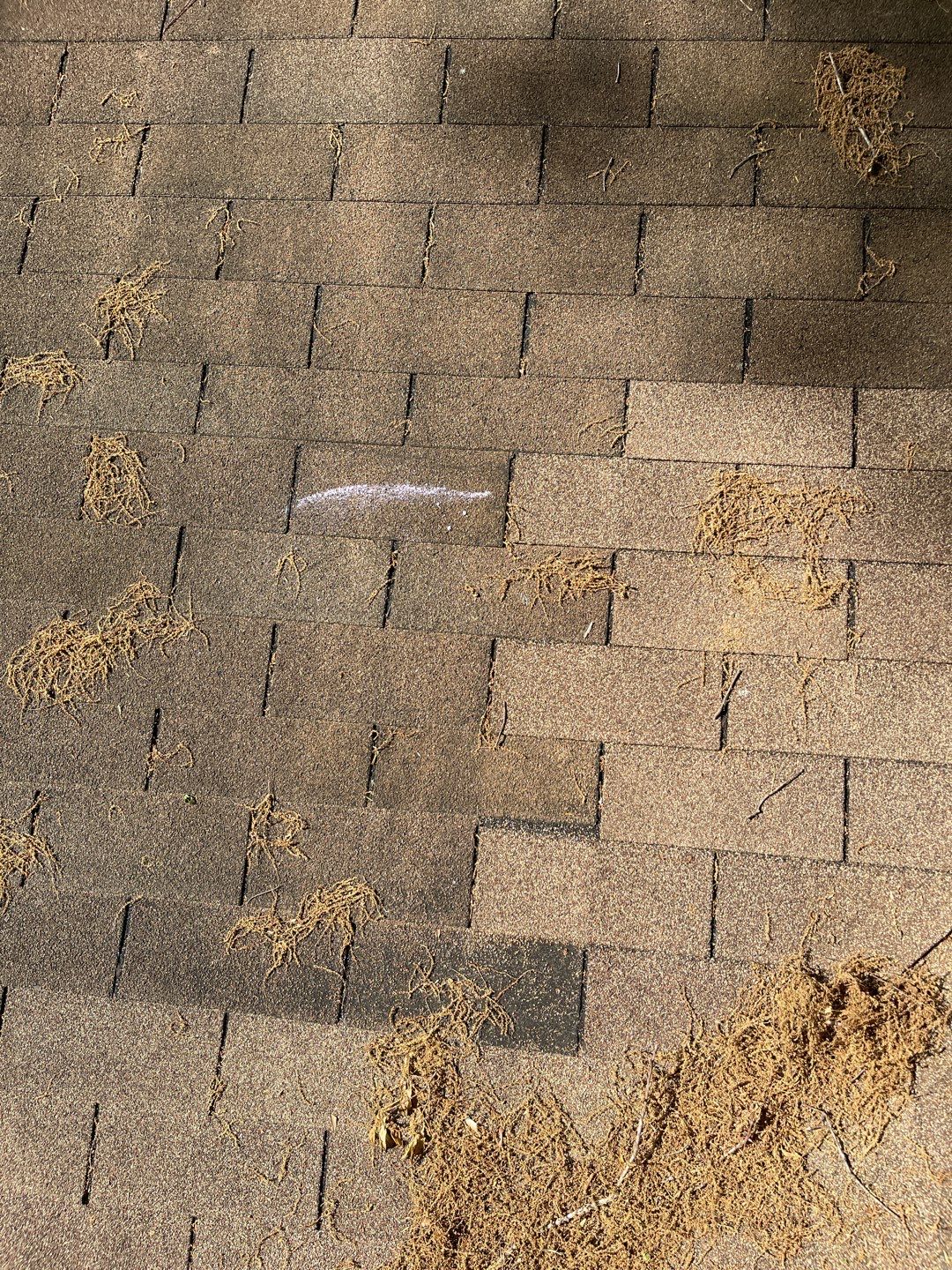 Hail & Wind Damage Roof Replacement | Kirkwood, Atlanta, GA | Travelers Insurance by Mosaic Roofing Company