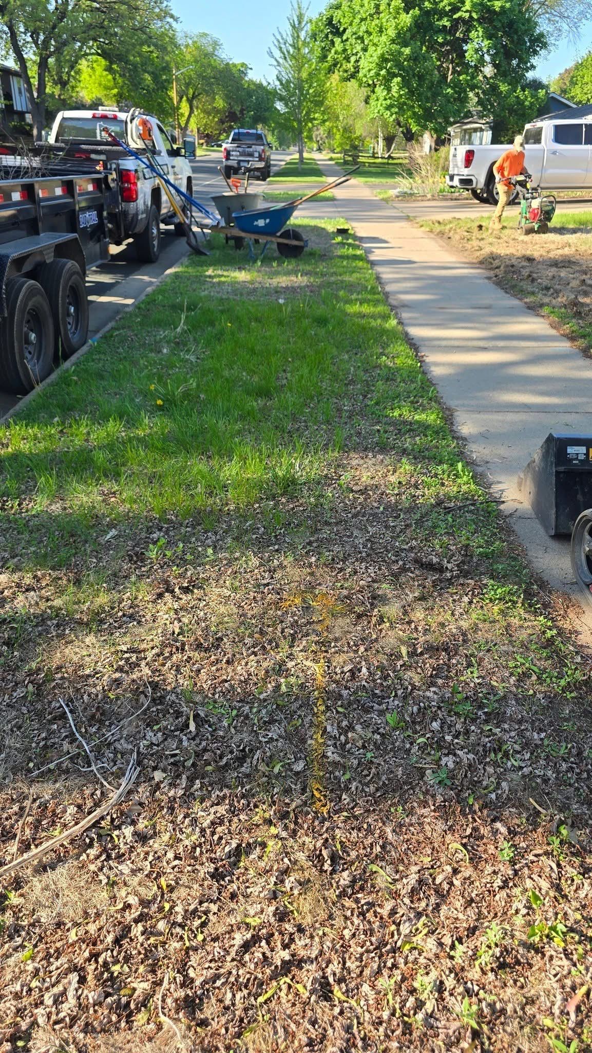 Landscape Renovation by Sota landscaping