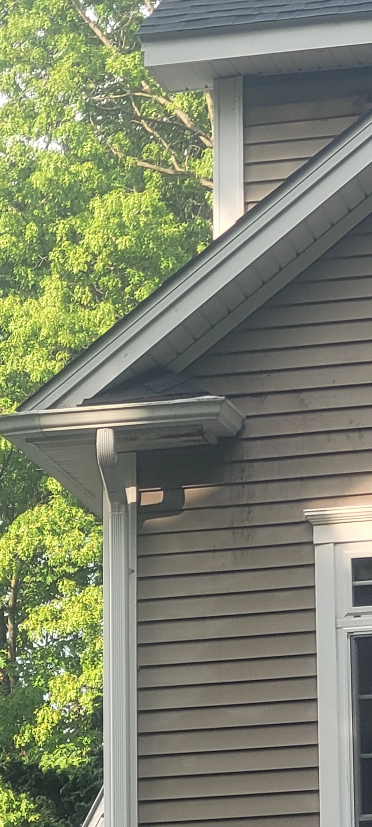 Beautiful new roof from DiGiorgi Roofing & Siding INC by DiGiorgi Roofing and Siding Inc