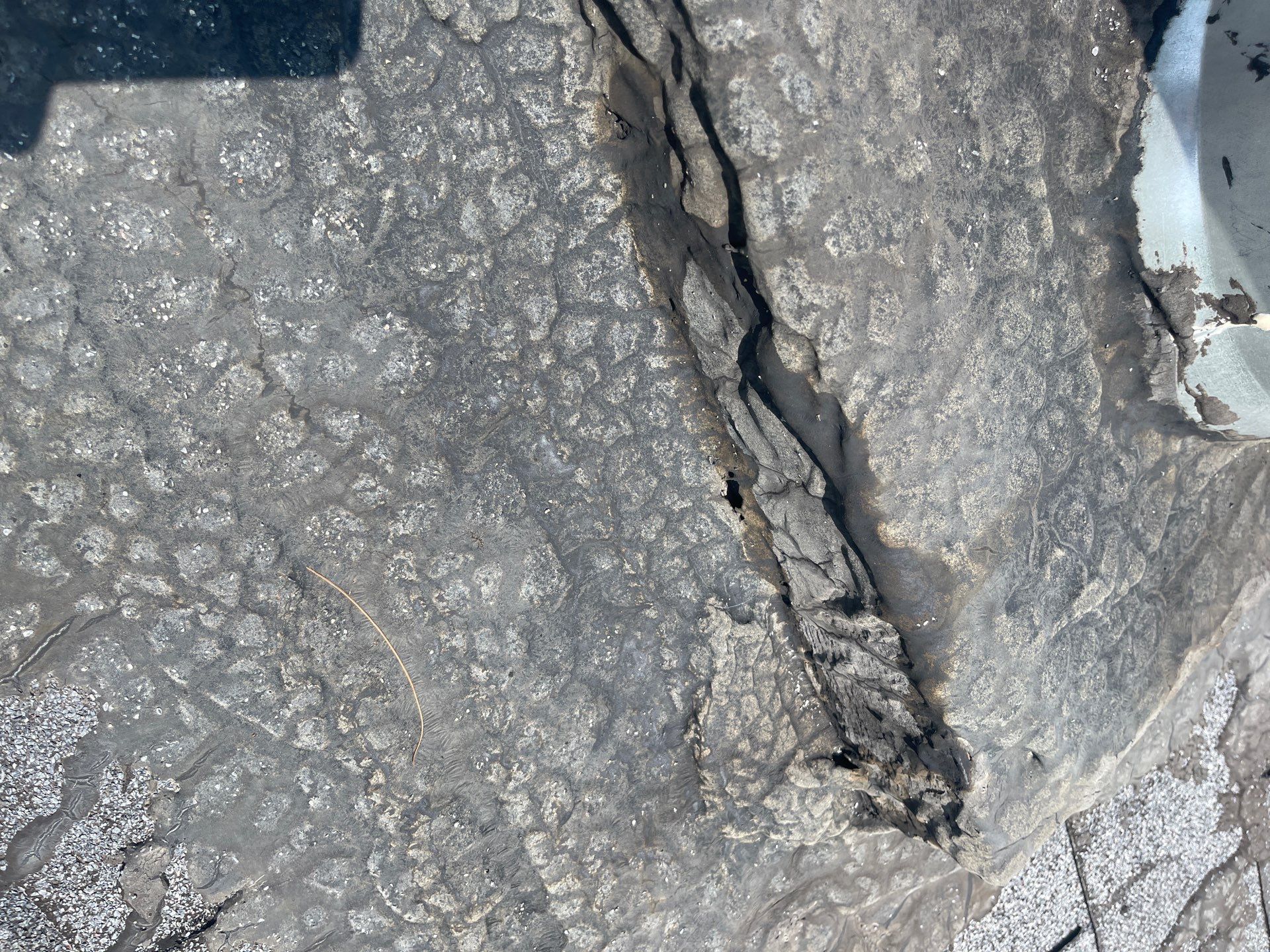 Roof Replacement using Owens Corning Sierra Gray by 180 Contractors