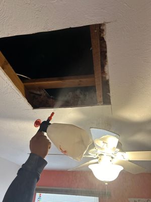 Storm Damage Restoration Services In Manatee 