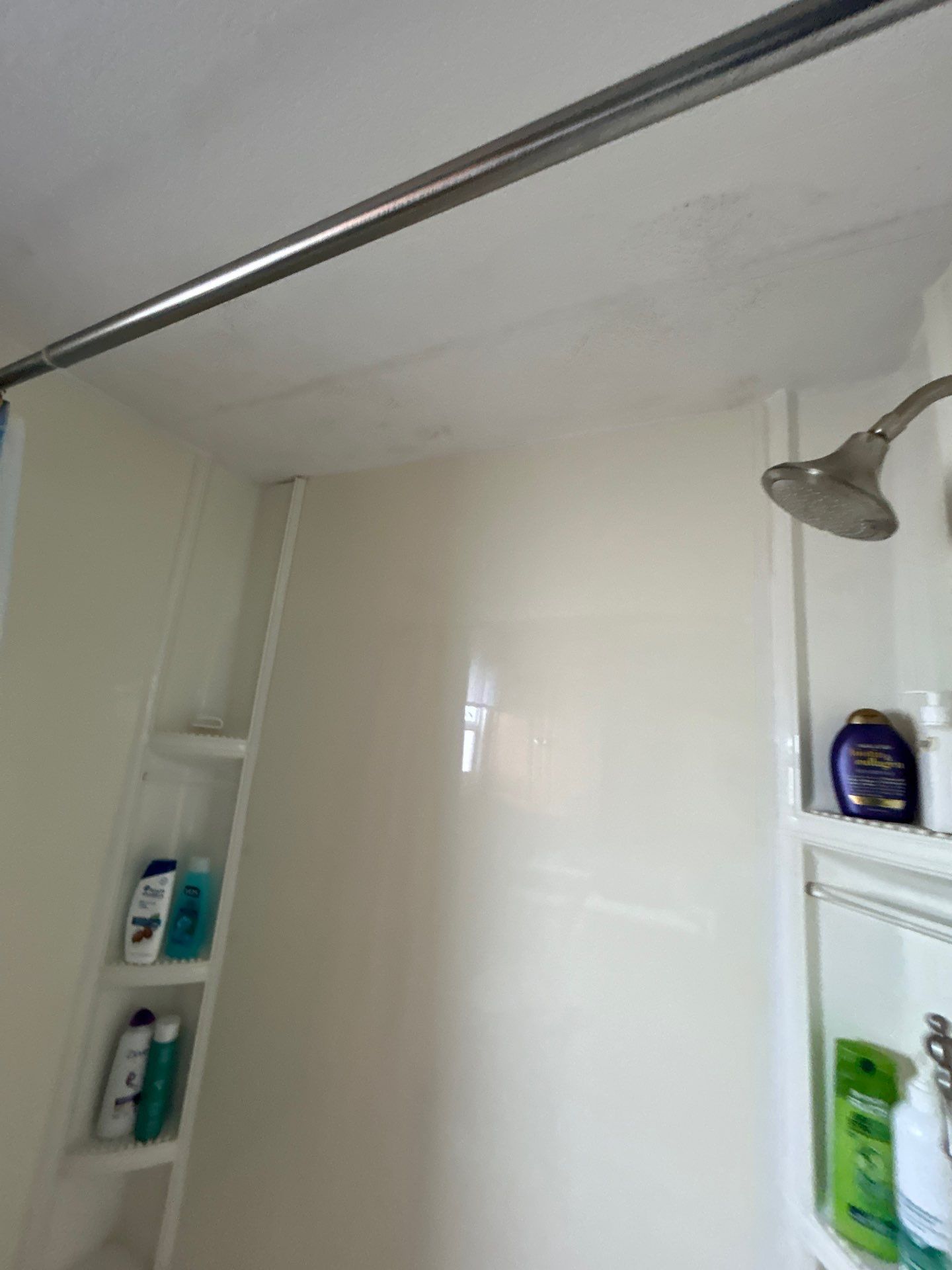 Mold Damage Inspection And Repair In Palmetto FL  by Ampm Restoration Services 