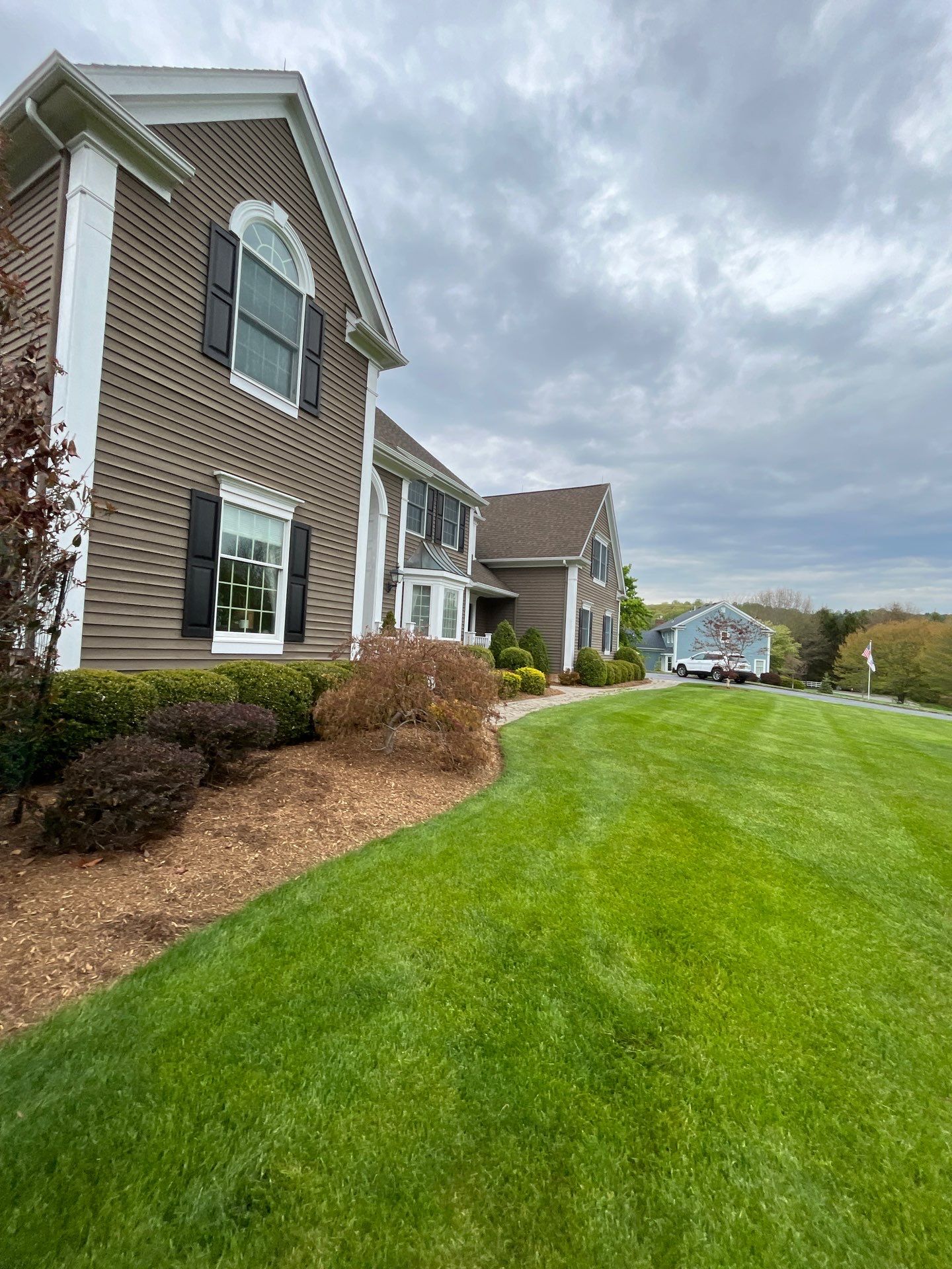 Comprehensive Ornamental Shrub Care in Peapack by Ants Plants
