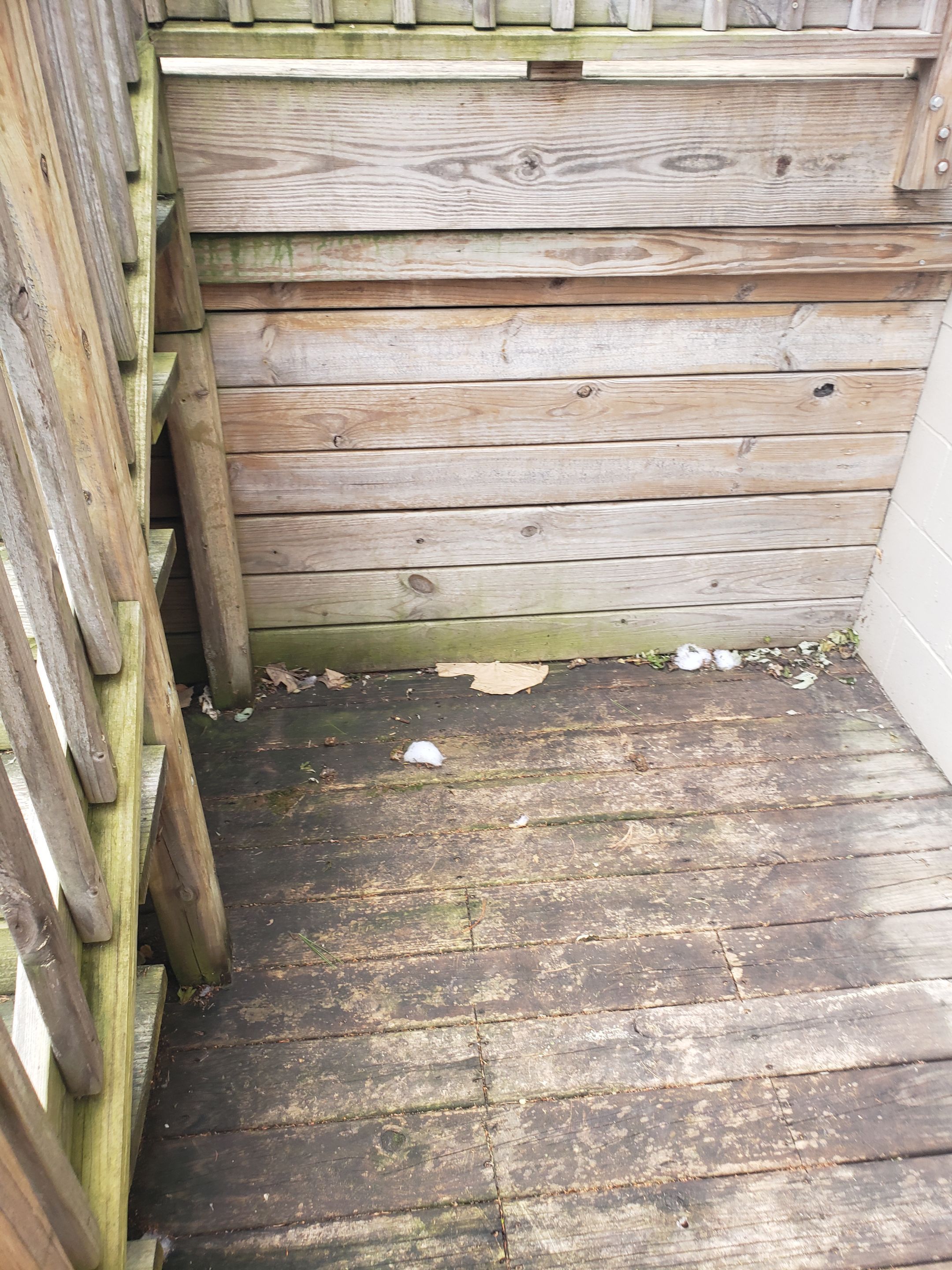 Isaac's Deck Restoration by Map Quality Fencing & Decks