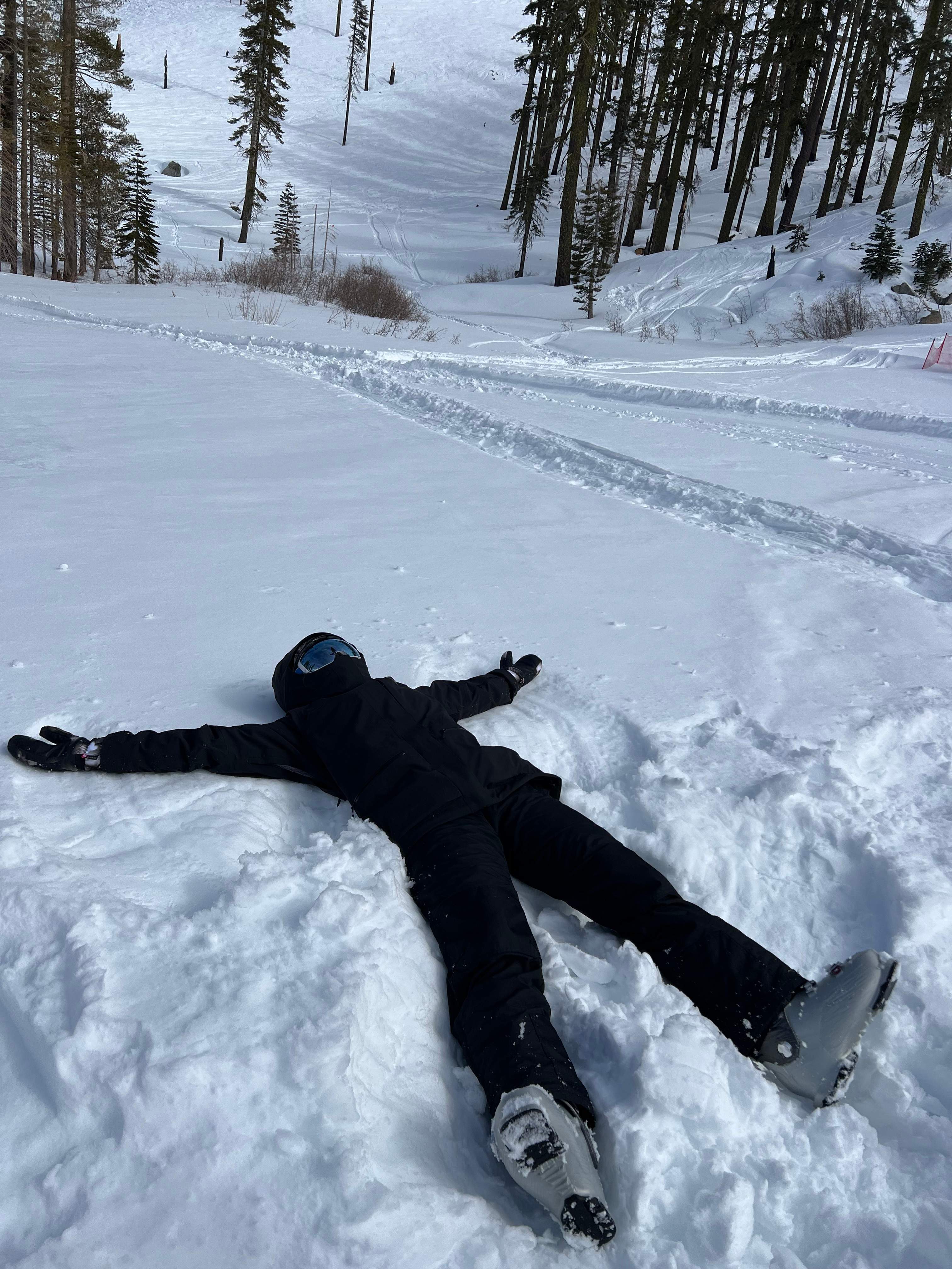 plants around town by CompanyCam