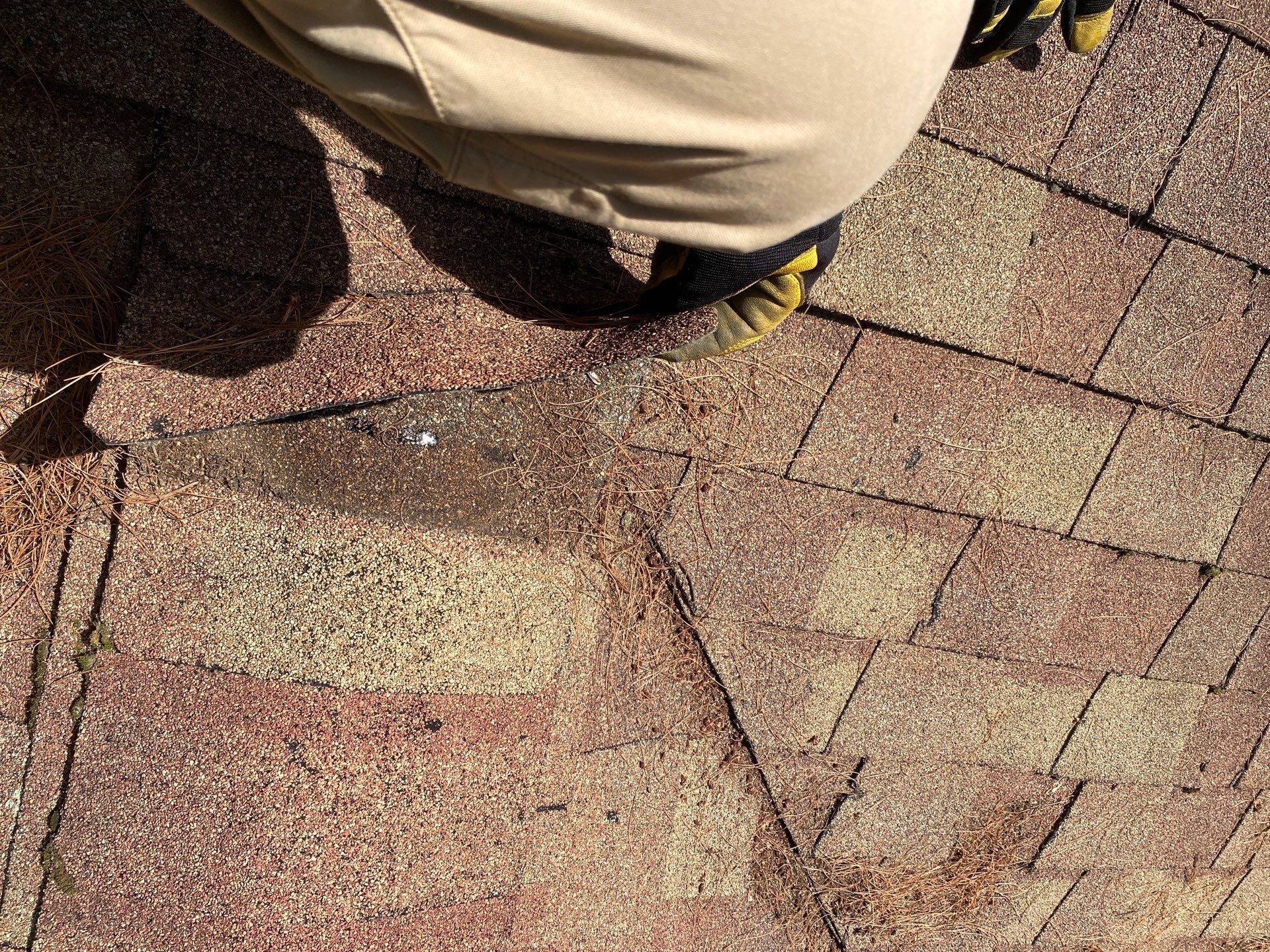 Roof Replacement – Rosalie Brown, MA by Mighty Dog Roofing of Greater Middlesex County