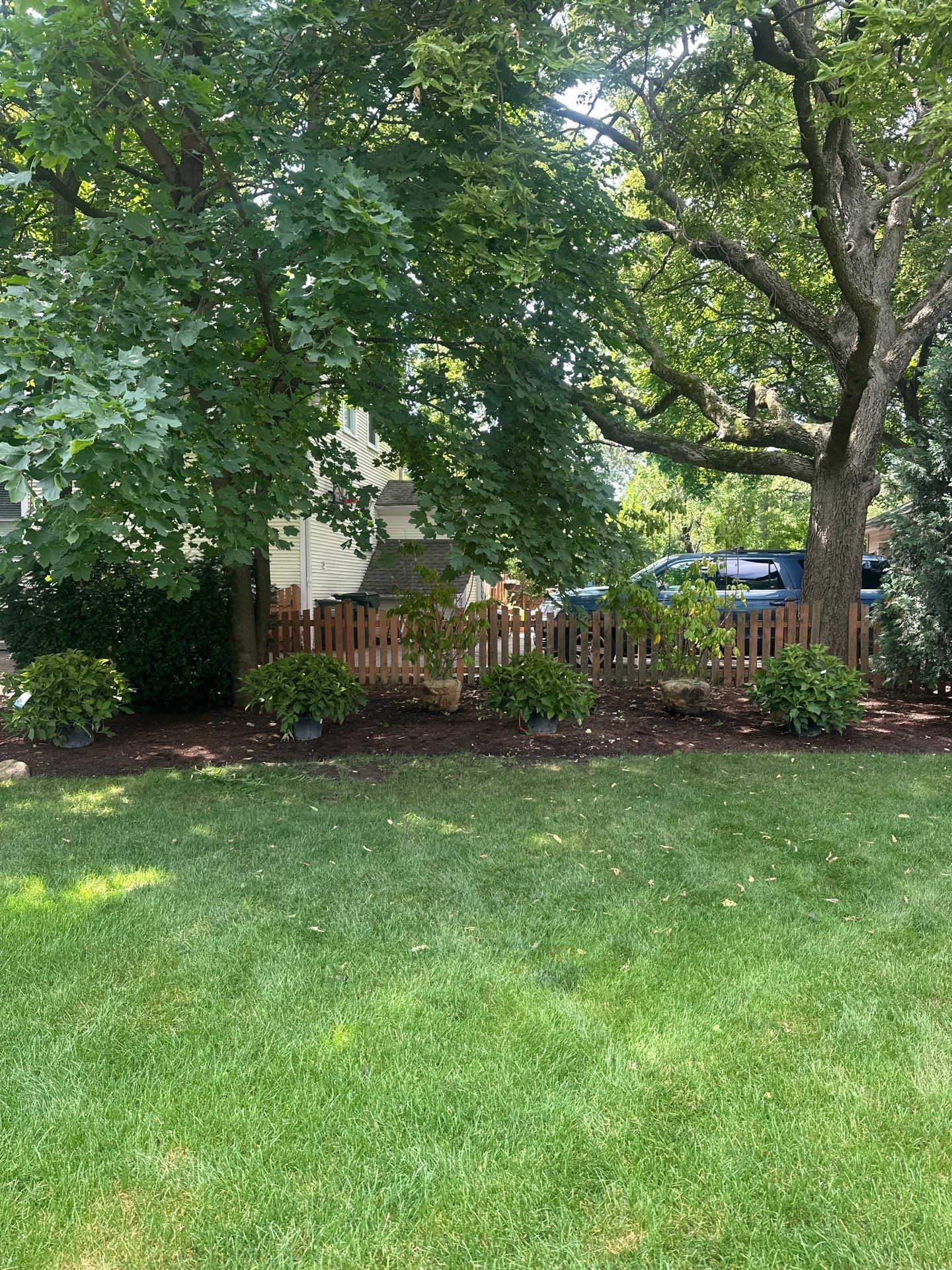 Scott M. - Arlington Heights, IL by A&N