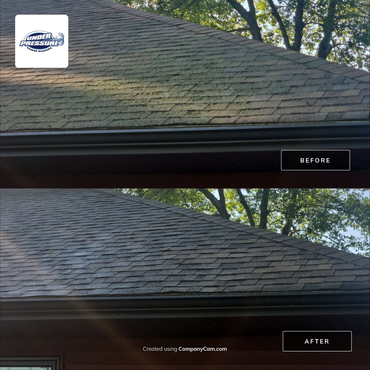 Asphalt Shingle Roof Cleaning and Moss Removal in Stoughton by Under Pressure Power Washing 