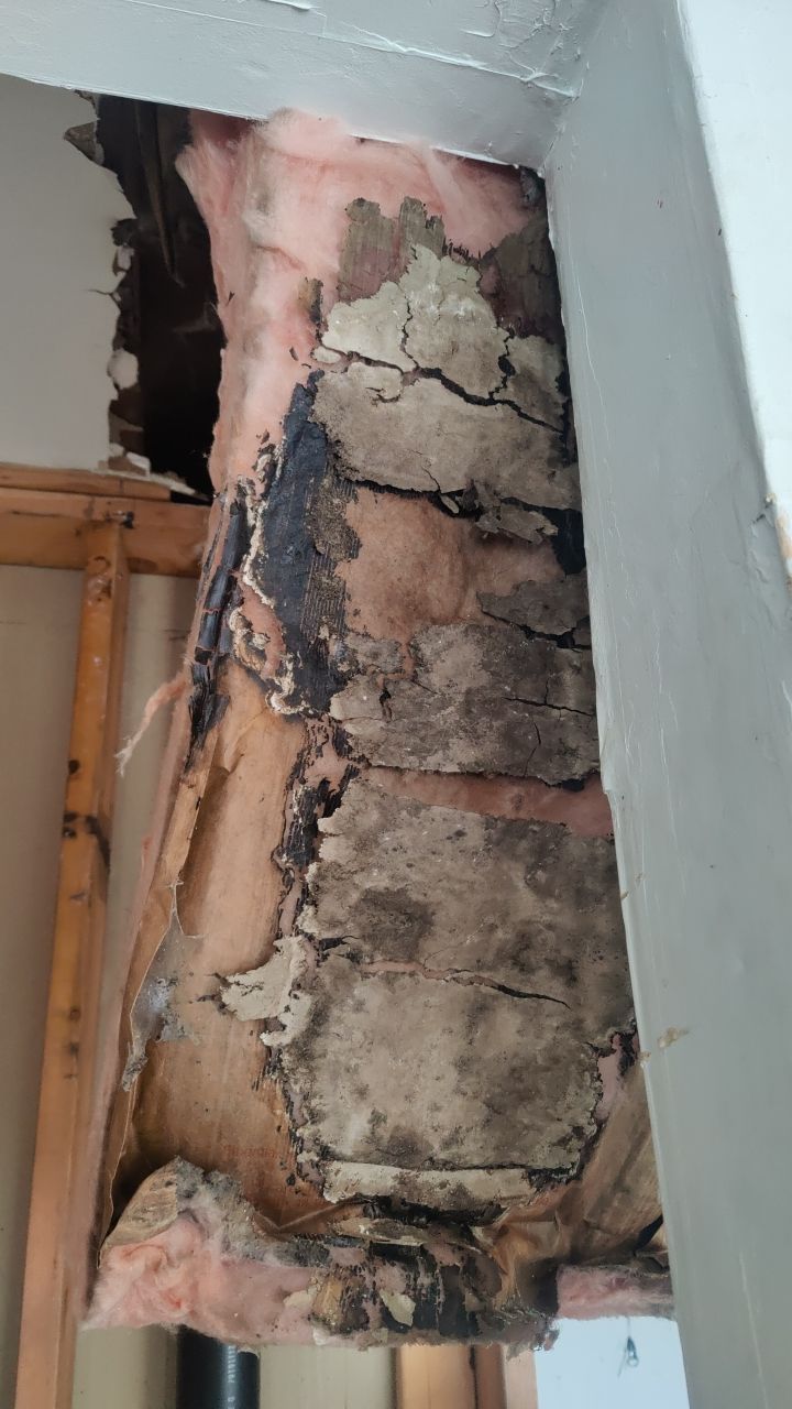 Water Damage  by Accountable Home Services