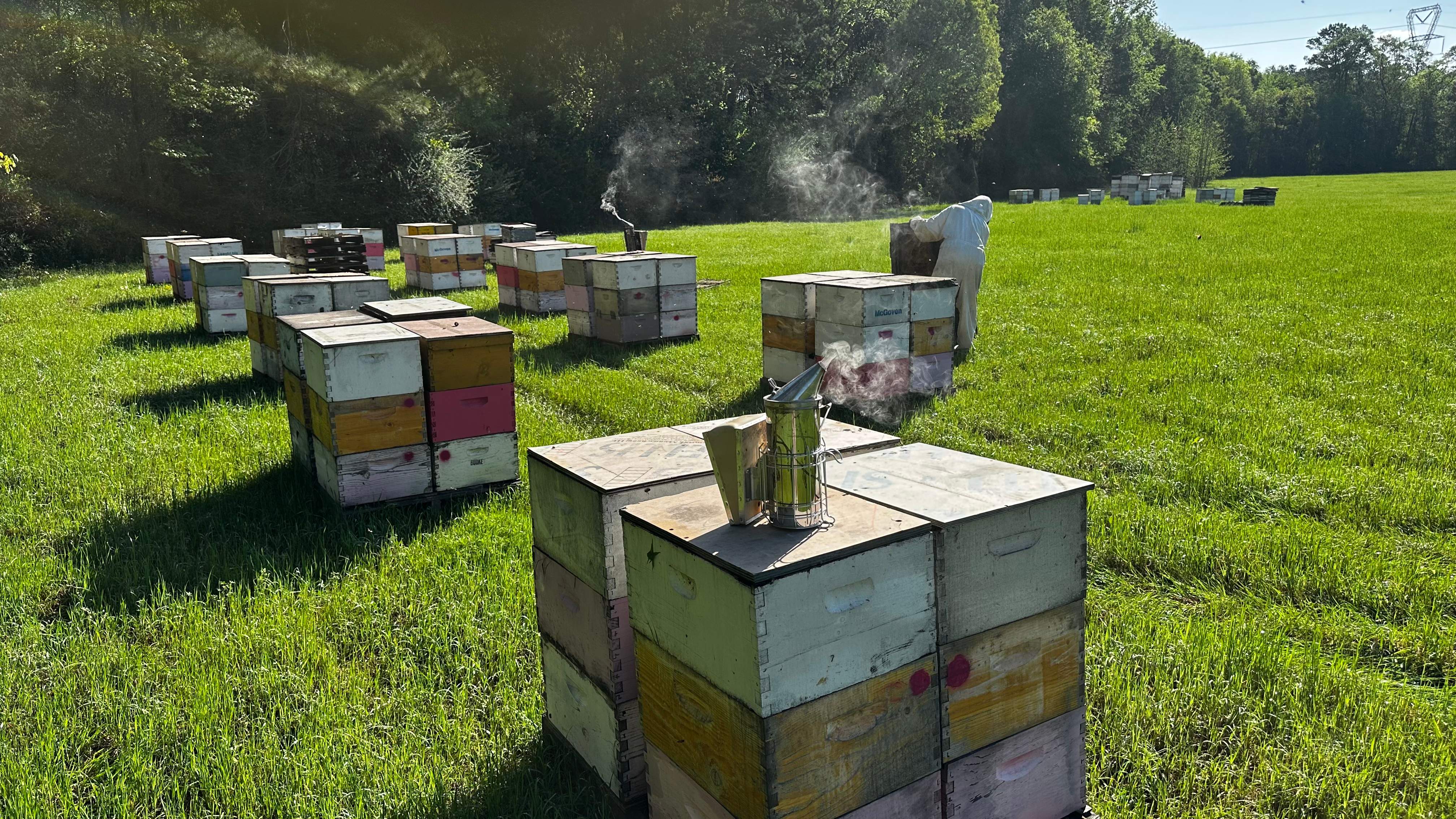 Traylor's Hay Meadow Apiary by Rockwall Honey Bee Company