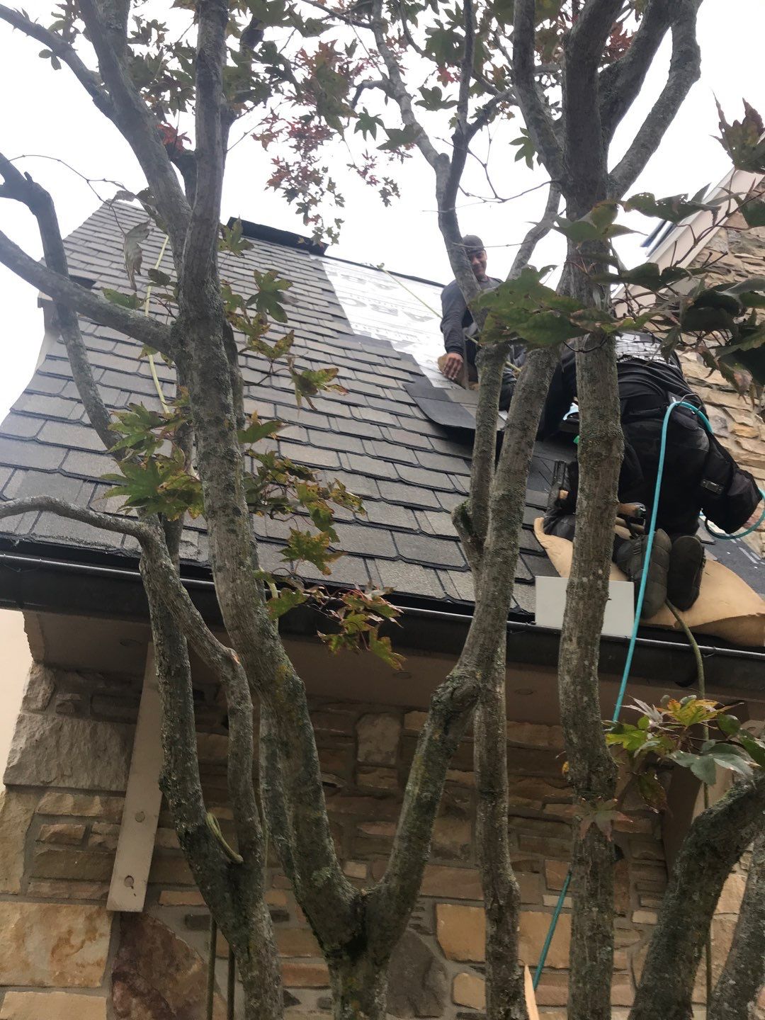 NEW CertainTeed Grand Manor from old Cedar Shake! by Absolute Roofing and Construction