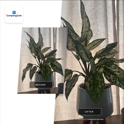 New Master Bathroom for Luxury Addition