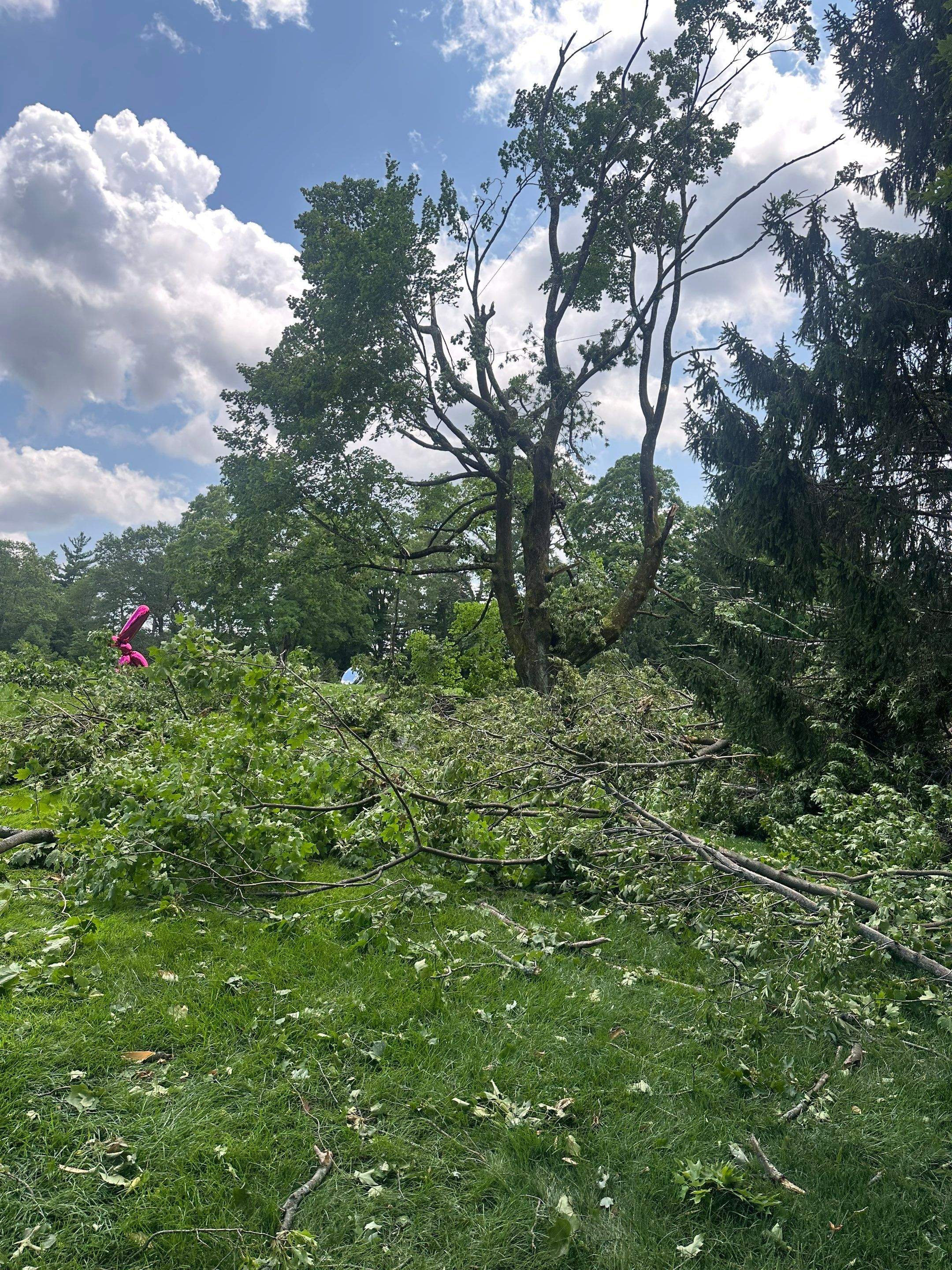 Emergency Tornado Damage Cleanup and Hazardous Tree Removal in Harrison by Fox Hill Luxury Real Estate Services