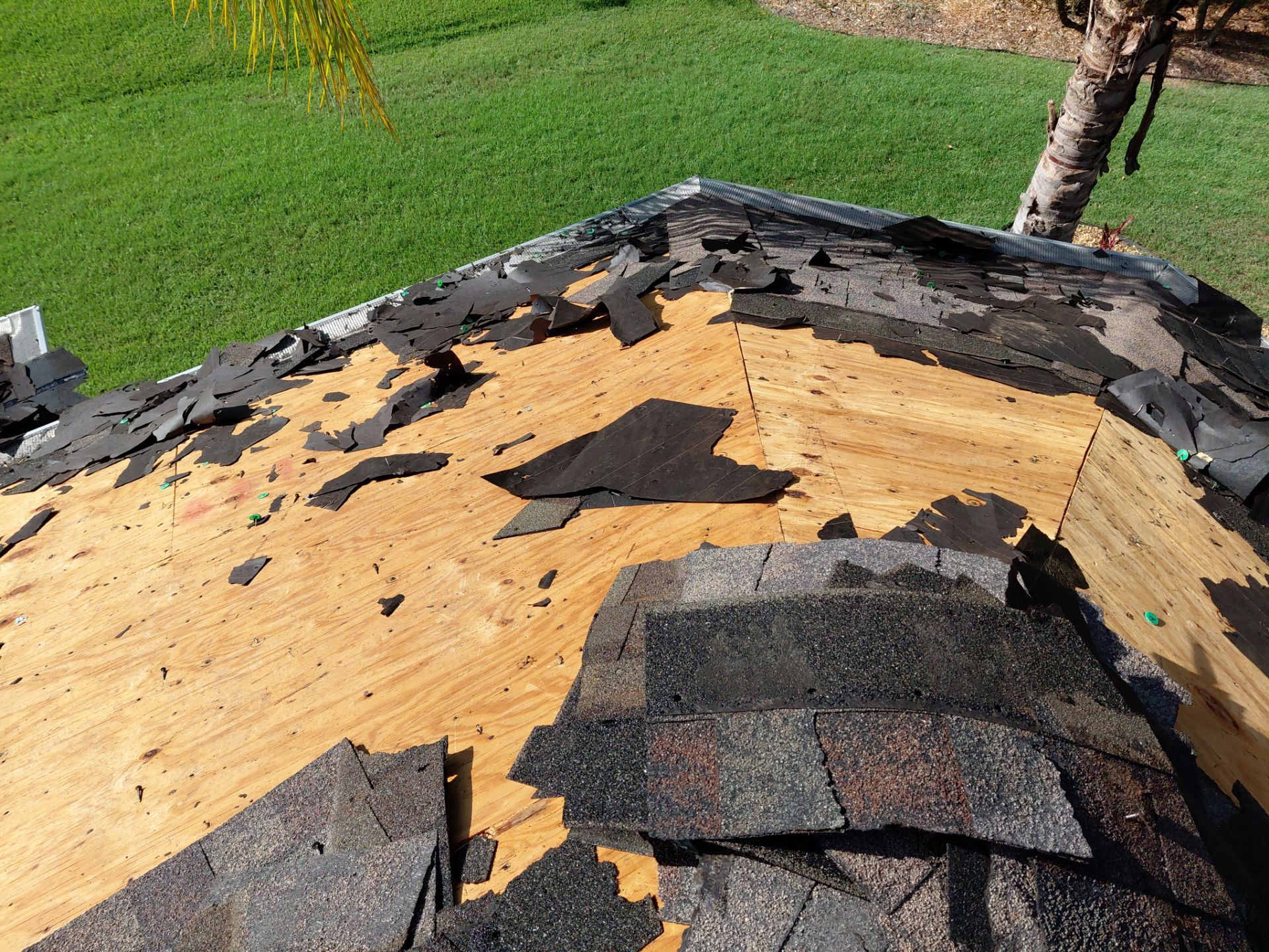 Tamko Titan Natural Timber Roof Replacement in Palm Coast by Pinnacle Roofing Group