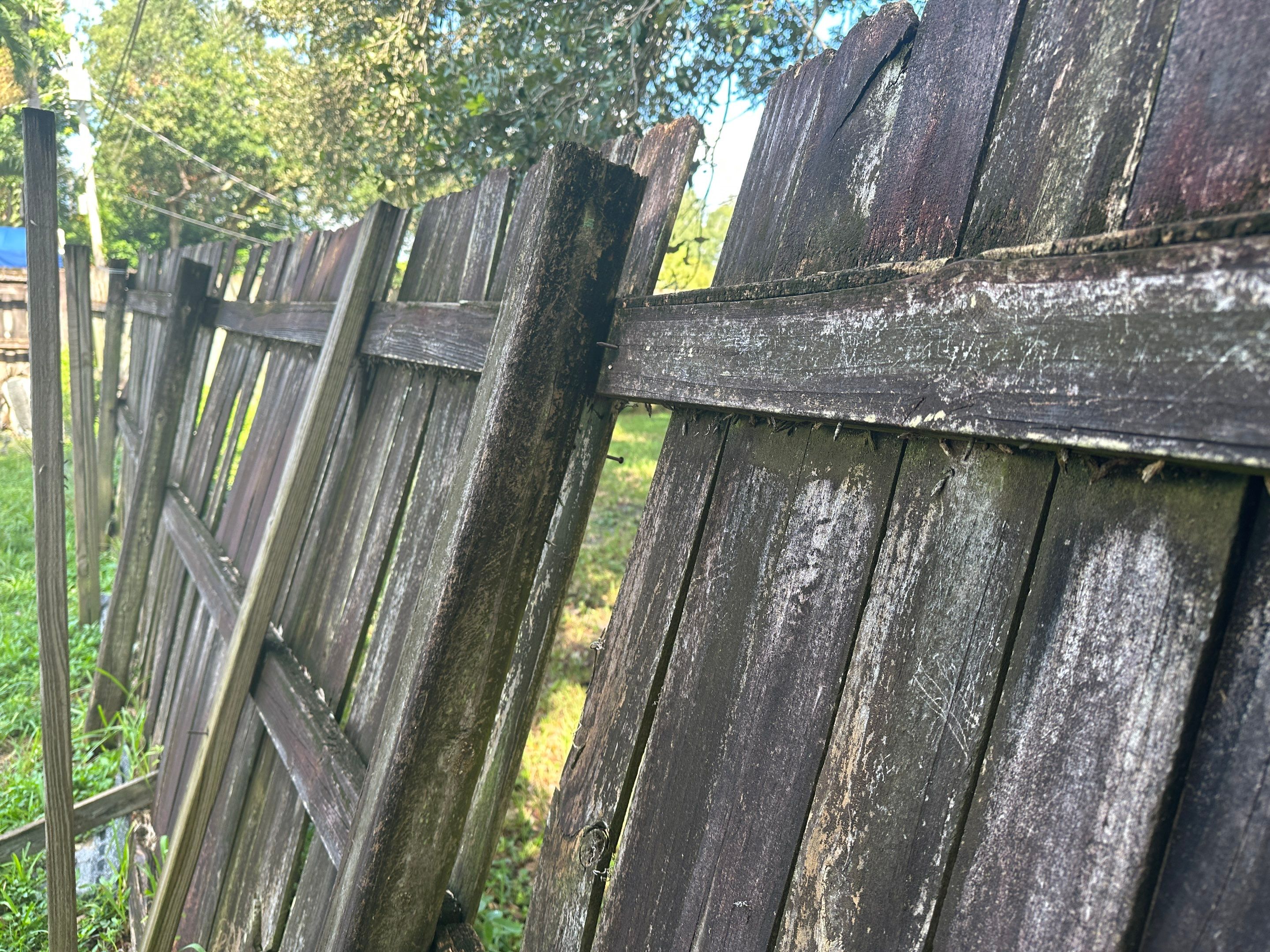 Hurricane Damage Claim in Hollywood by FLAPA & KeyStone