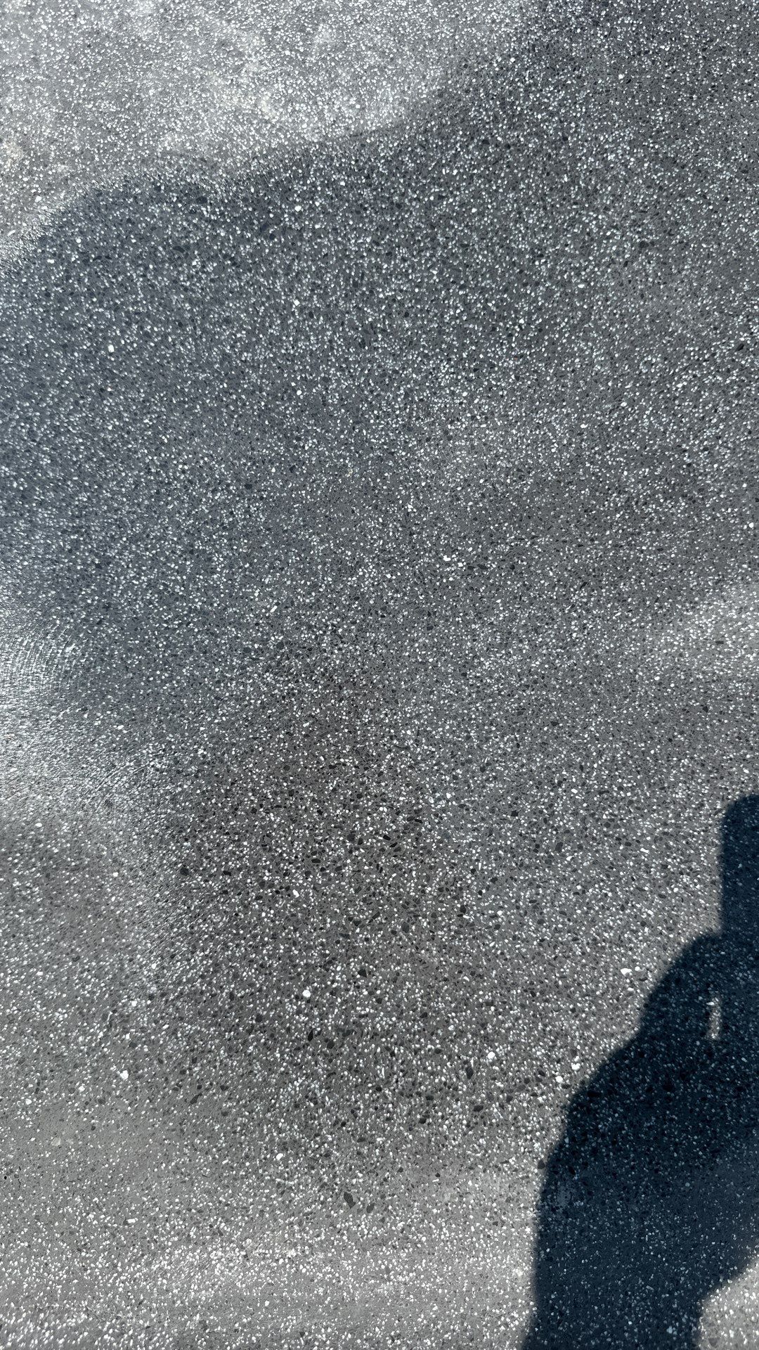 Gunite Pool and Spa with Autocover by Elysium Pools