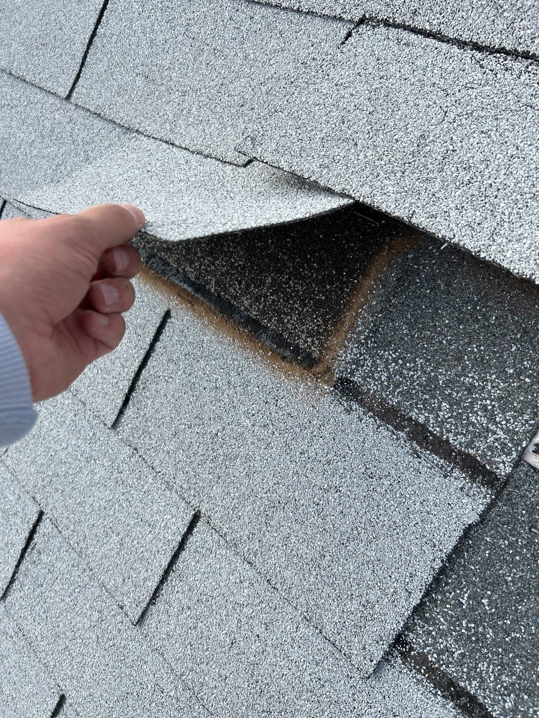 Penny's Full Re-roof by All Storm Roofing & Construction