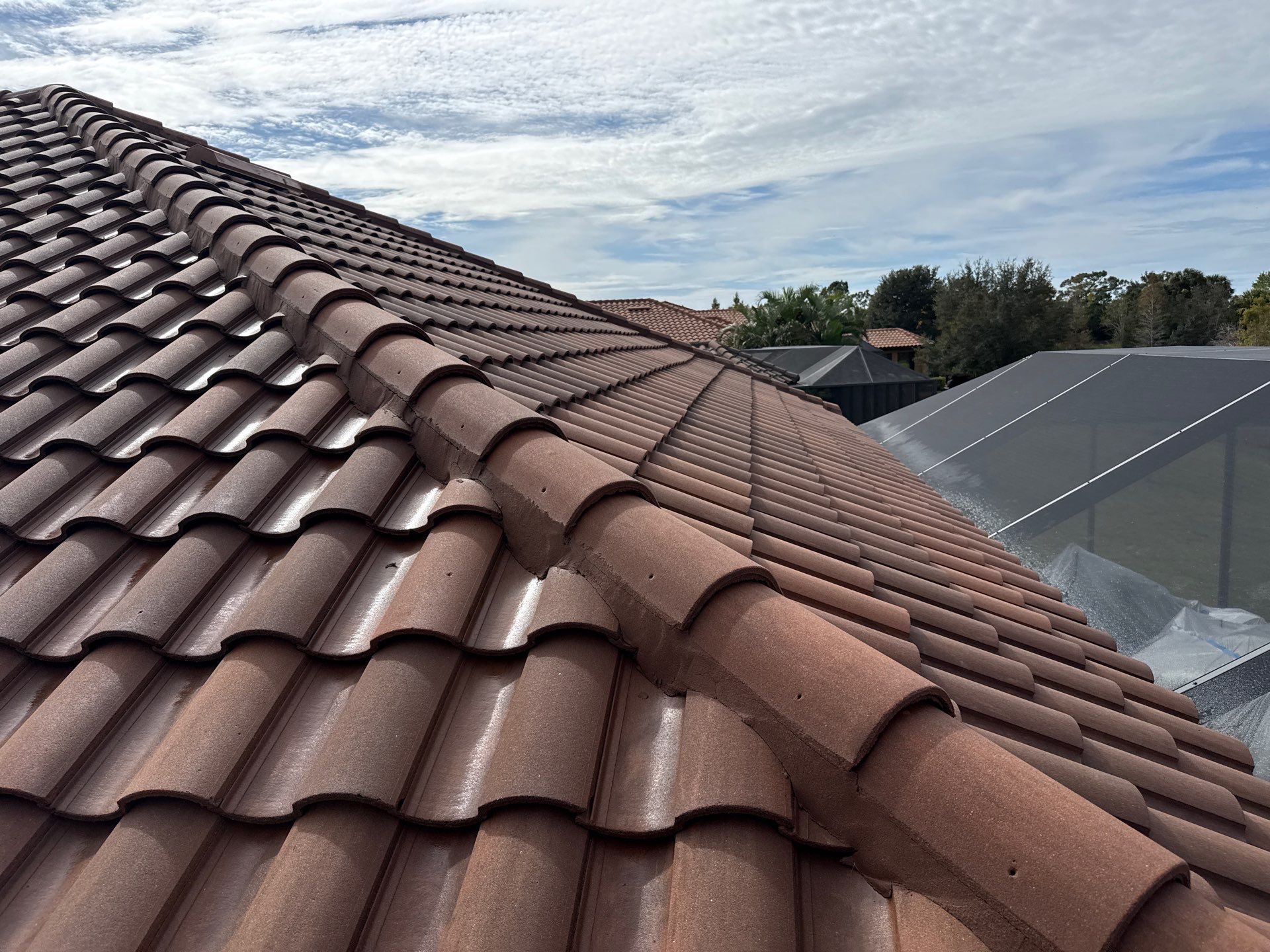 🌿 Tile Roof Cleaning in Lakewood Ranch — Safe for Plants & Tortoise-Friendly! 🐢✨ by Sunshine AquaWash