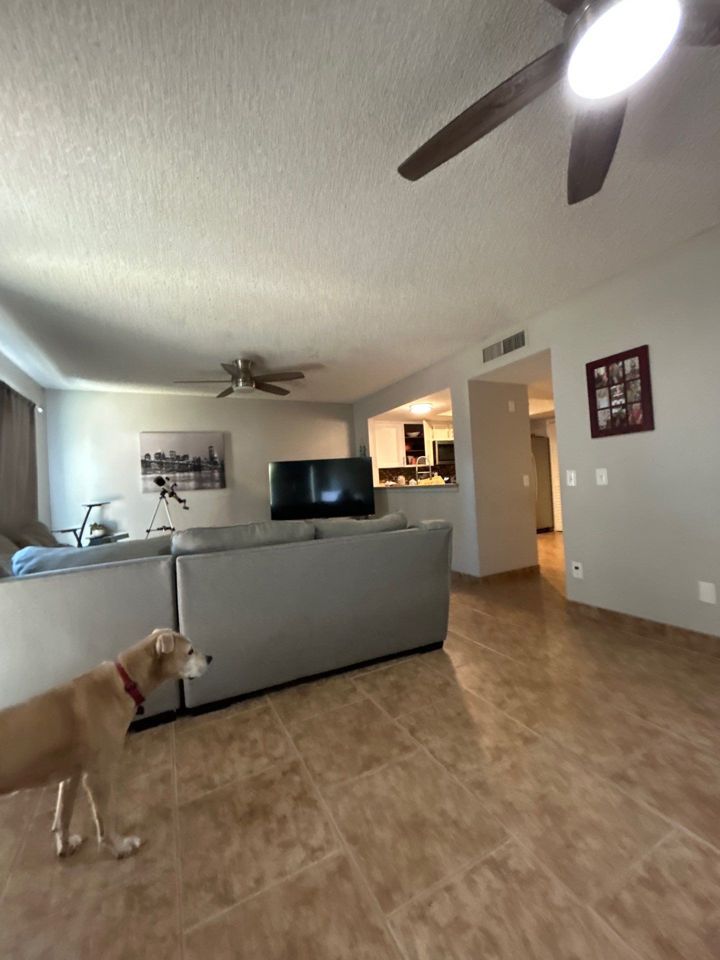 Glass Bead by CompanyCam Sales Demo