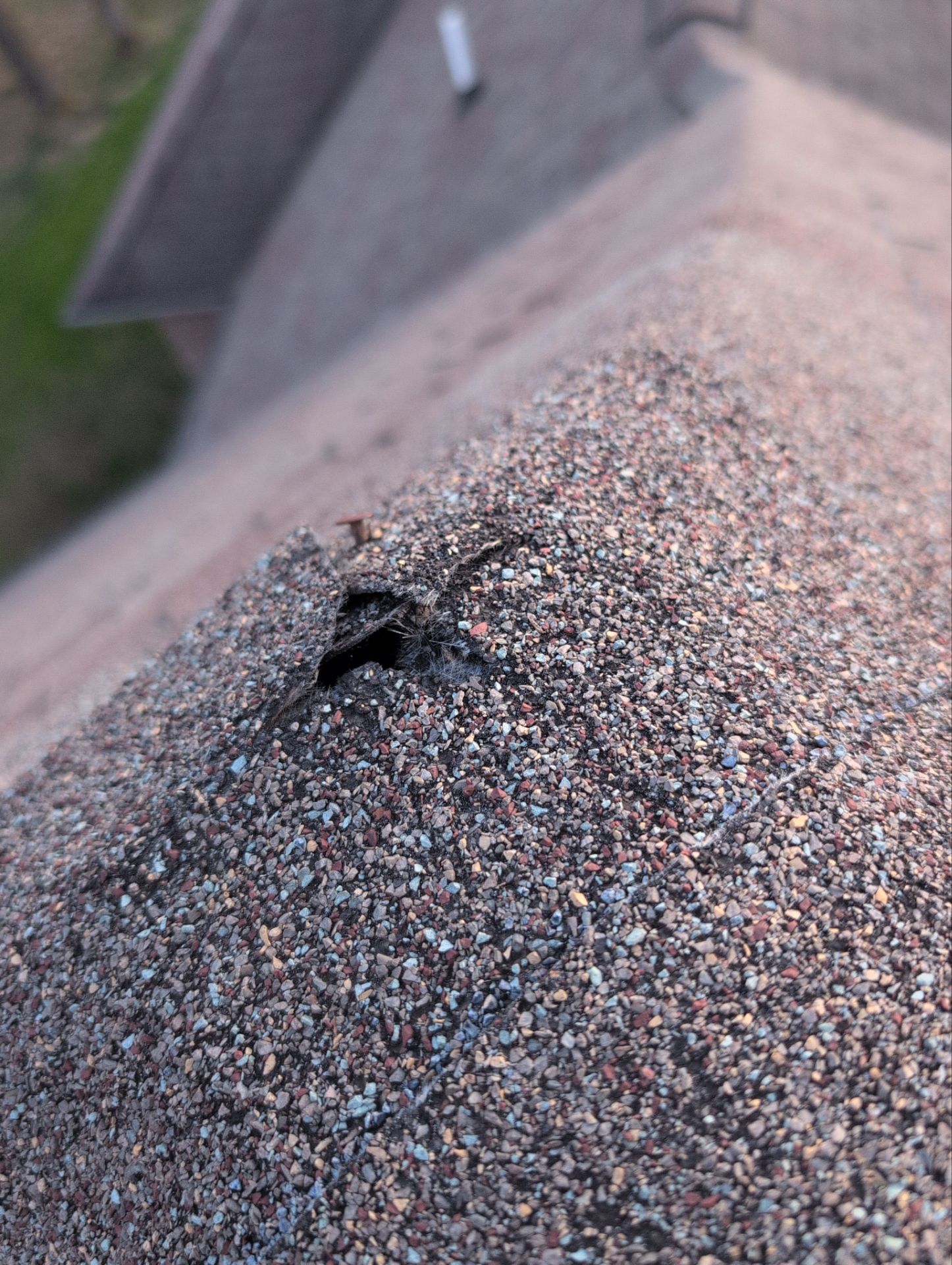 Roof Replacement in Cape Fair by Table Rock Design + Build