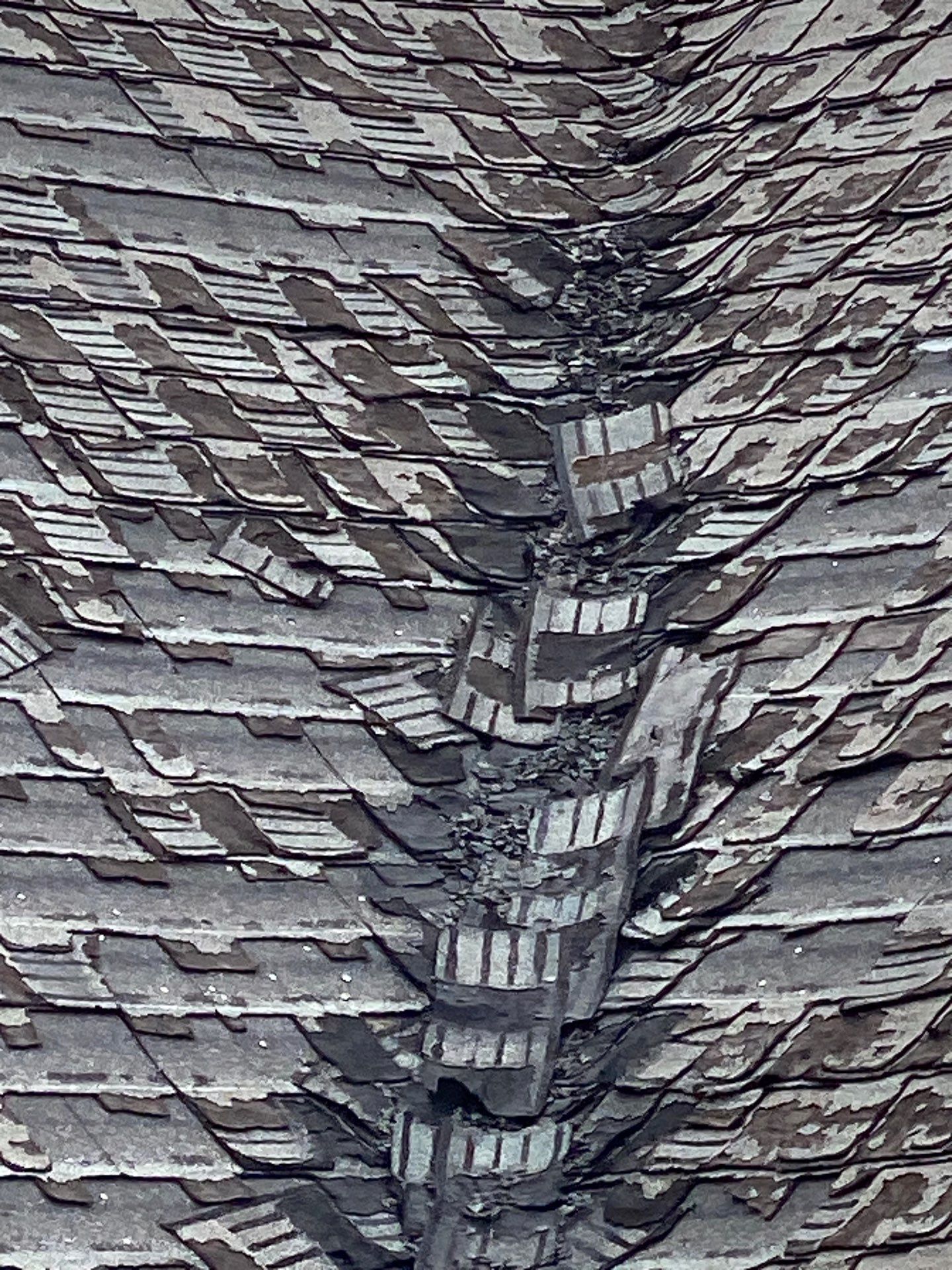 Full Roof Replacement & EPDM Restoration – North Andover, MA by Mighty Dog Roofing of Greater Middlesex County