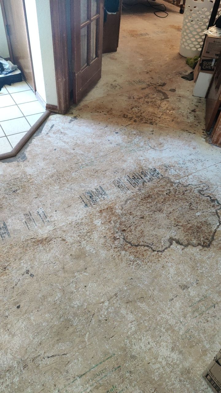 Water Damage  by Accountable Home Services