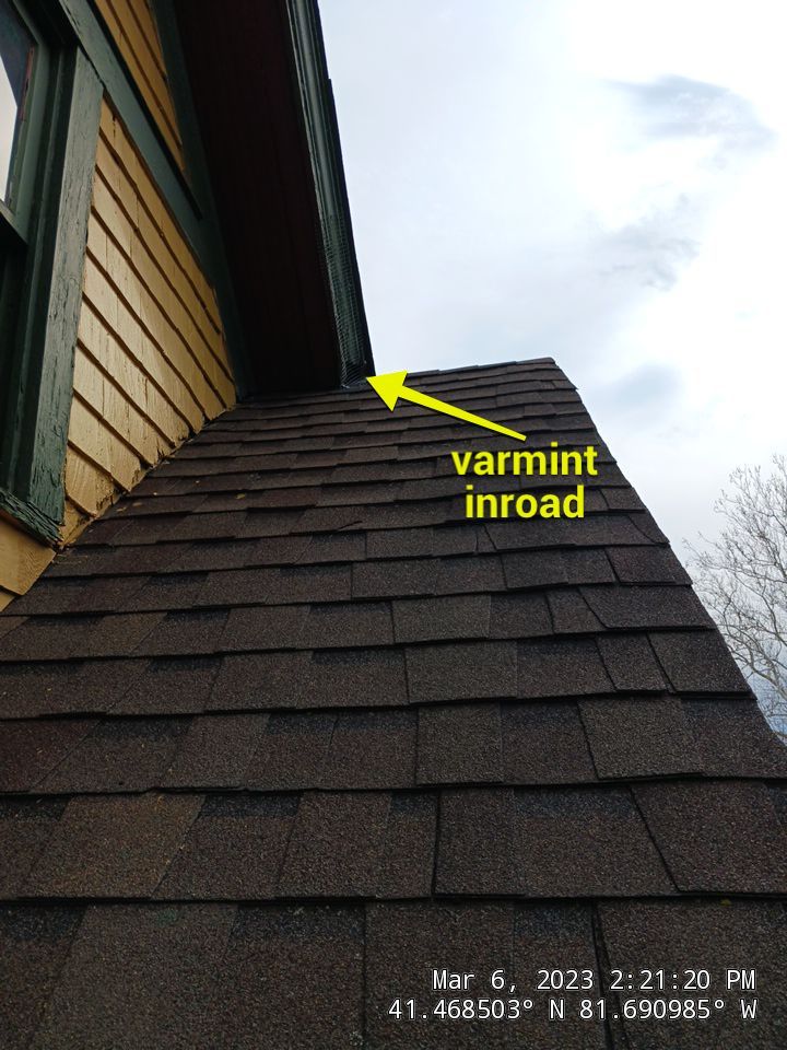 Roof Damage using structual repair and remodel by Absolute Roofing and Construction