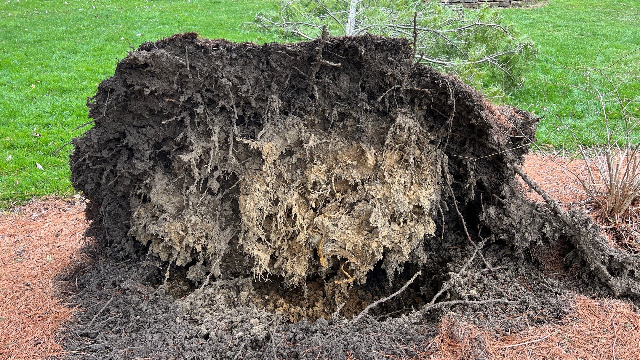 Storm Damage Tree Removal by Reisenberg’s Lawn & Landscape, LLC