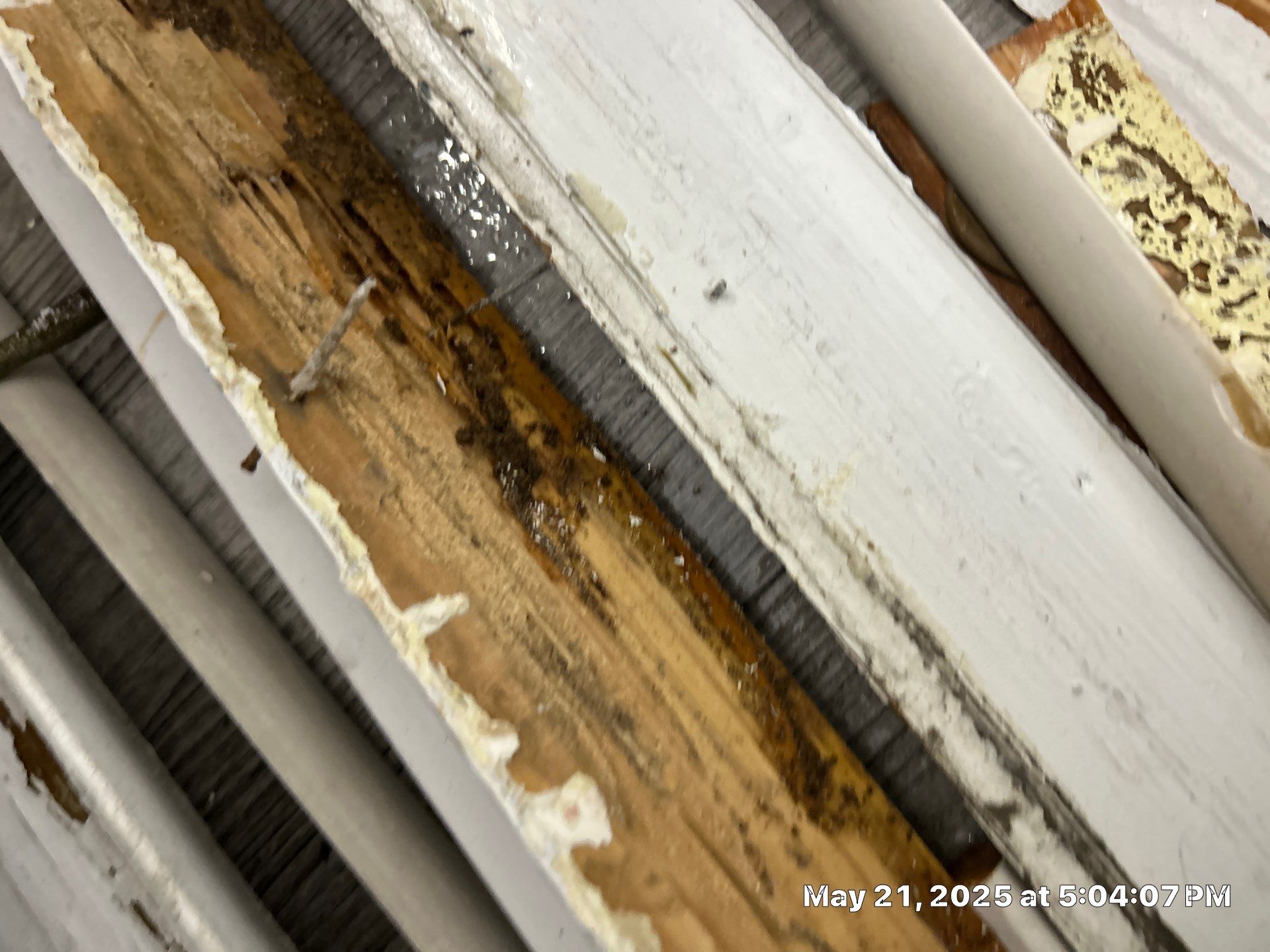 Bradenton Water Damage Restoration by Ampm Restoration Services