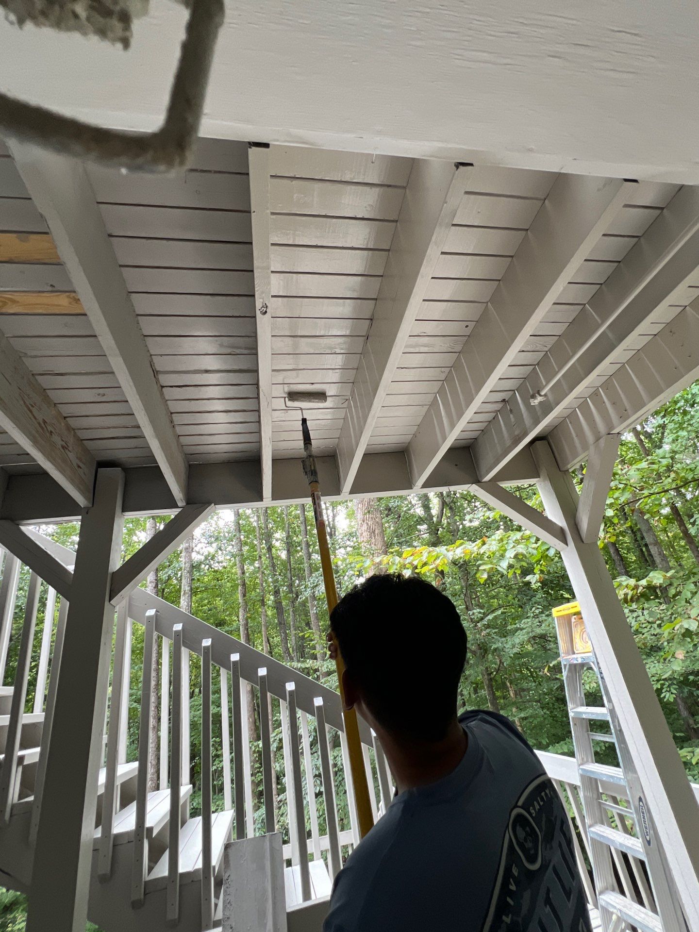 Complete exterior refresh with carpentry repairs by GonzalezPainters & Contractors Inc