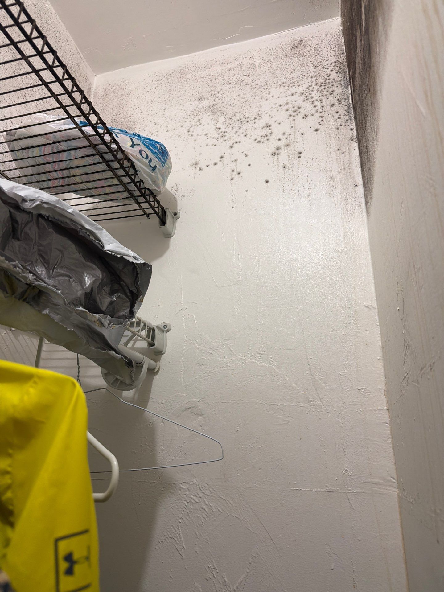 Mold Remediation and High Moisture Assessment in Miami Beach by SuperClean