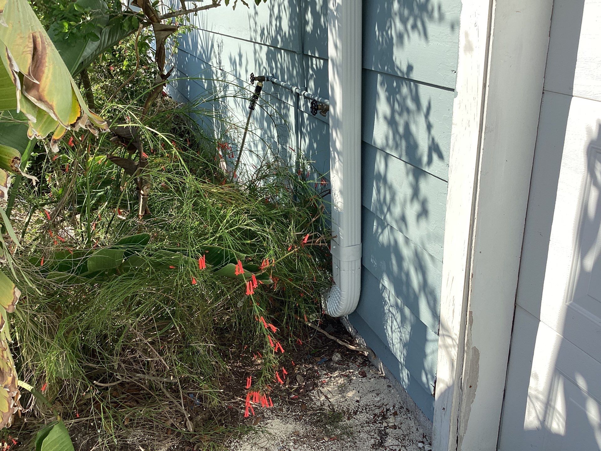 White 6-Inch Gutters and Leaf Guard Installation in Fort Myers FL by Gutter Professors