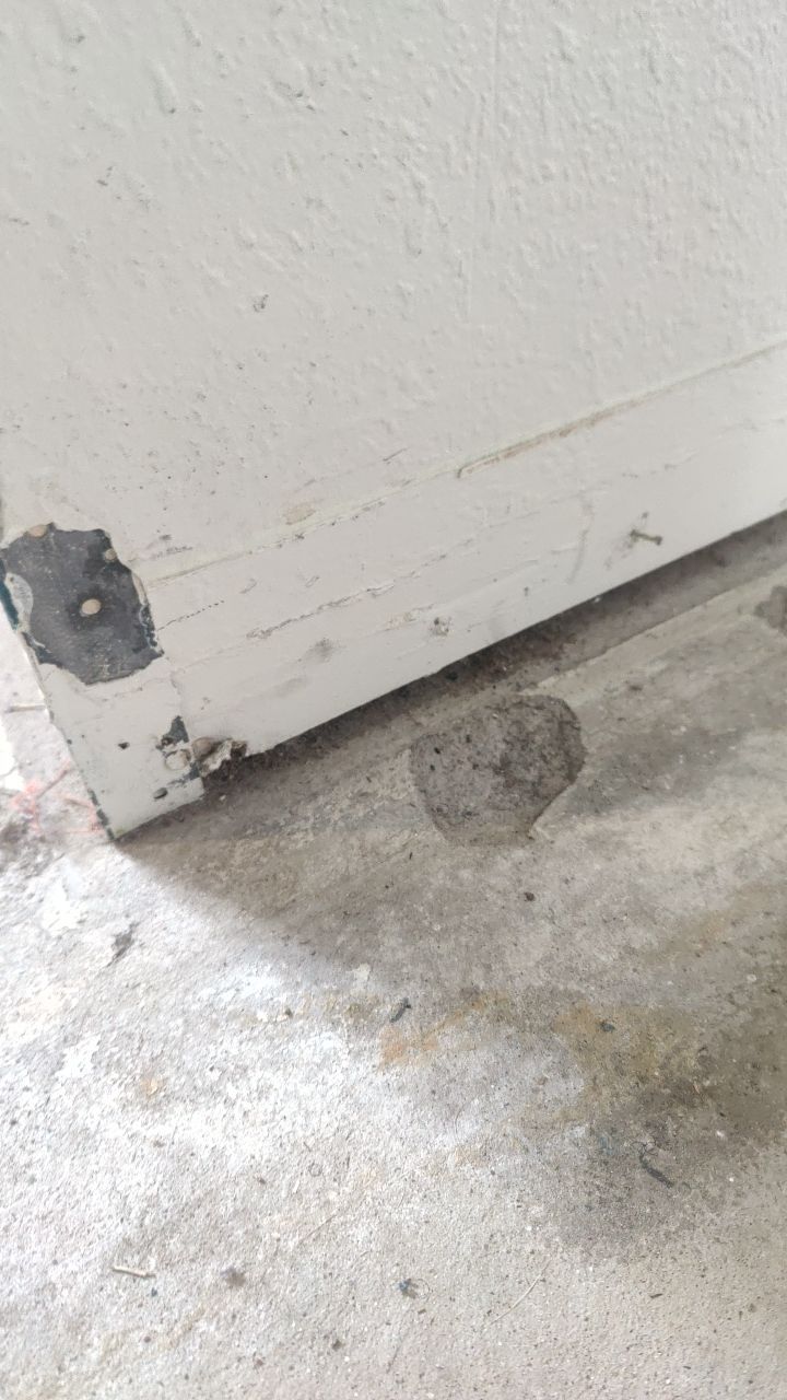 Mold Remediation by Accountable Home Services