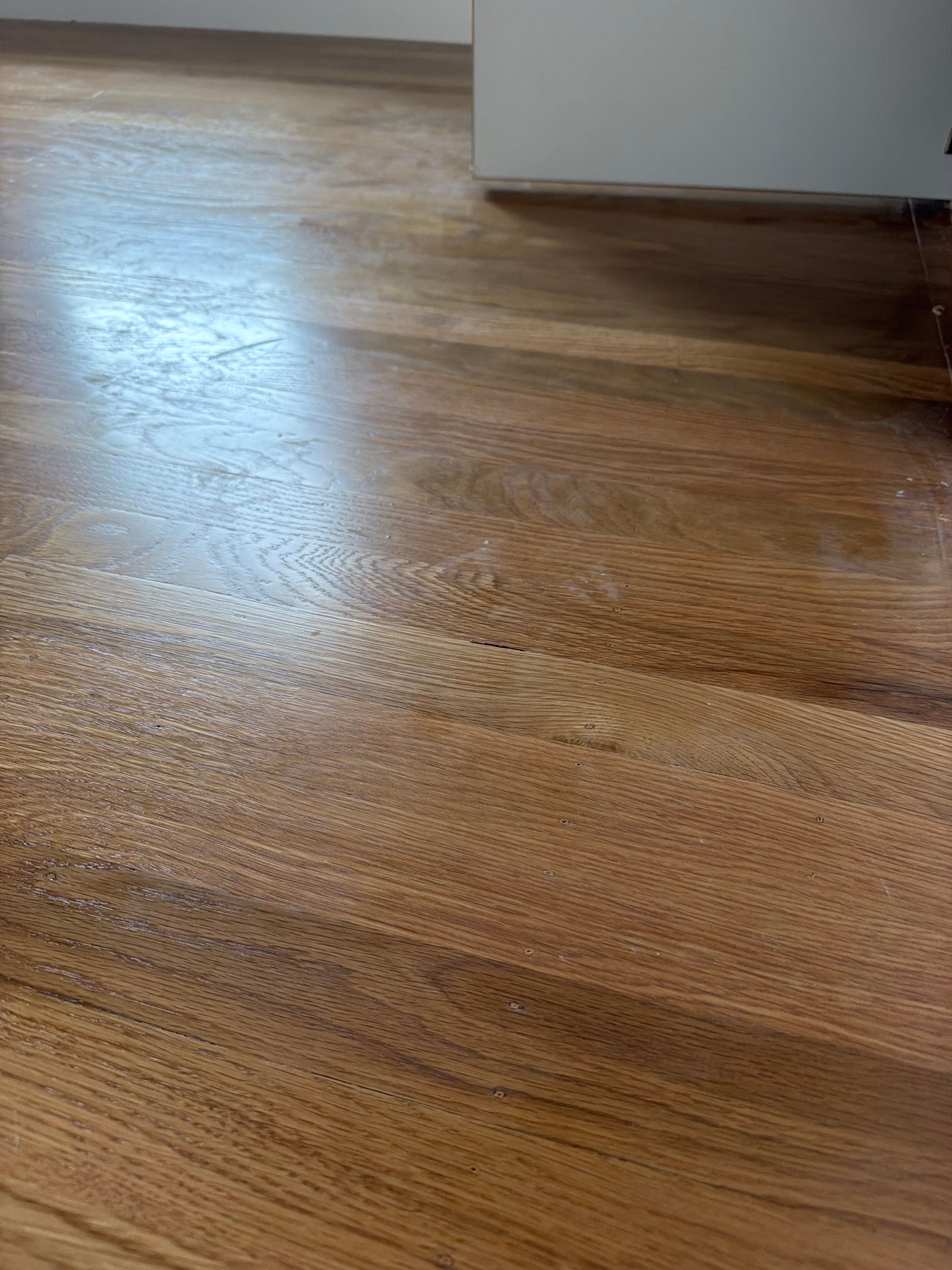 Project by Tuclean Commercial Services  by Tuclean Commercial Services 