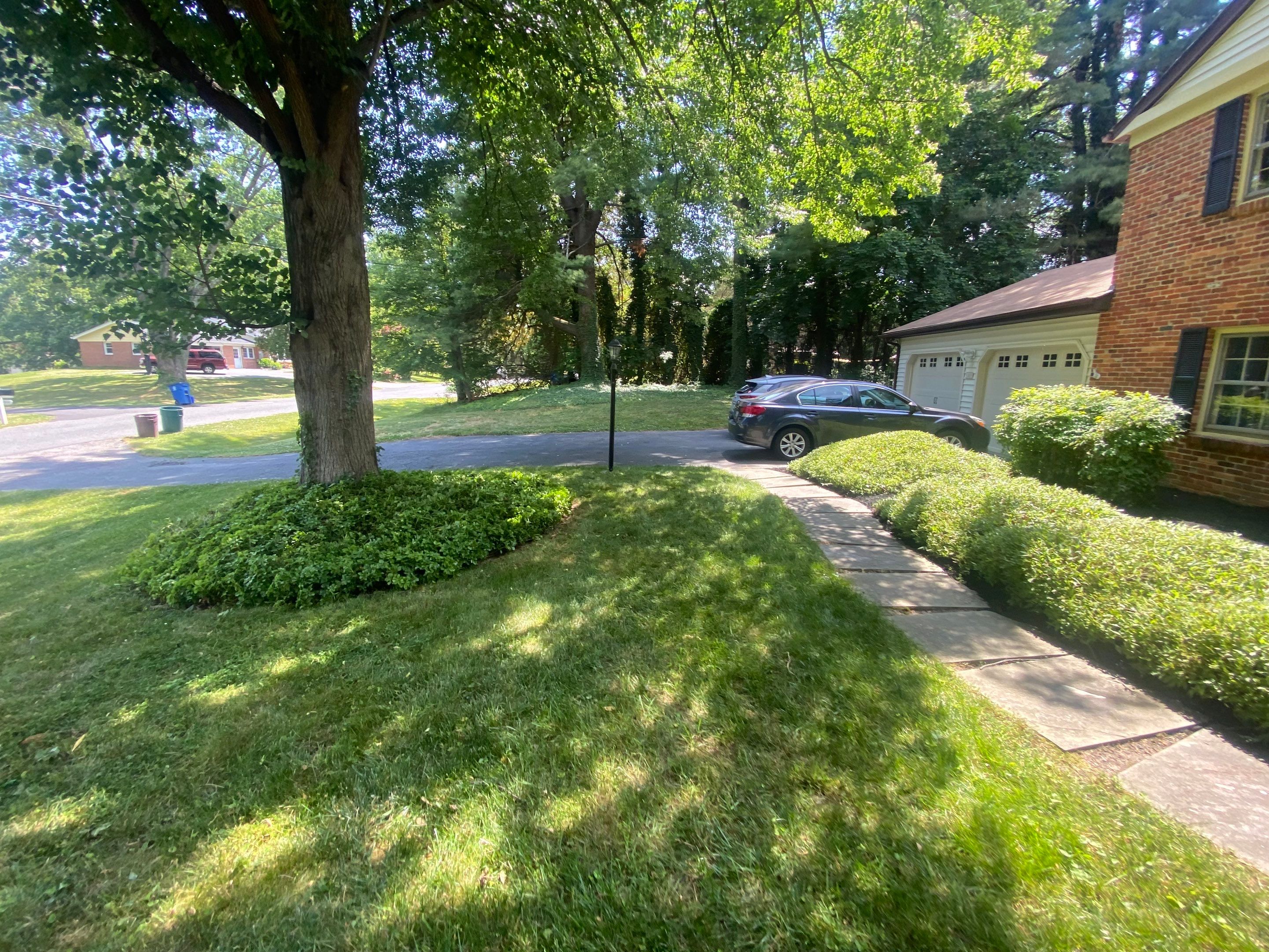 Landscape cleanup & drainage by The Smet Companies, LLC