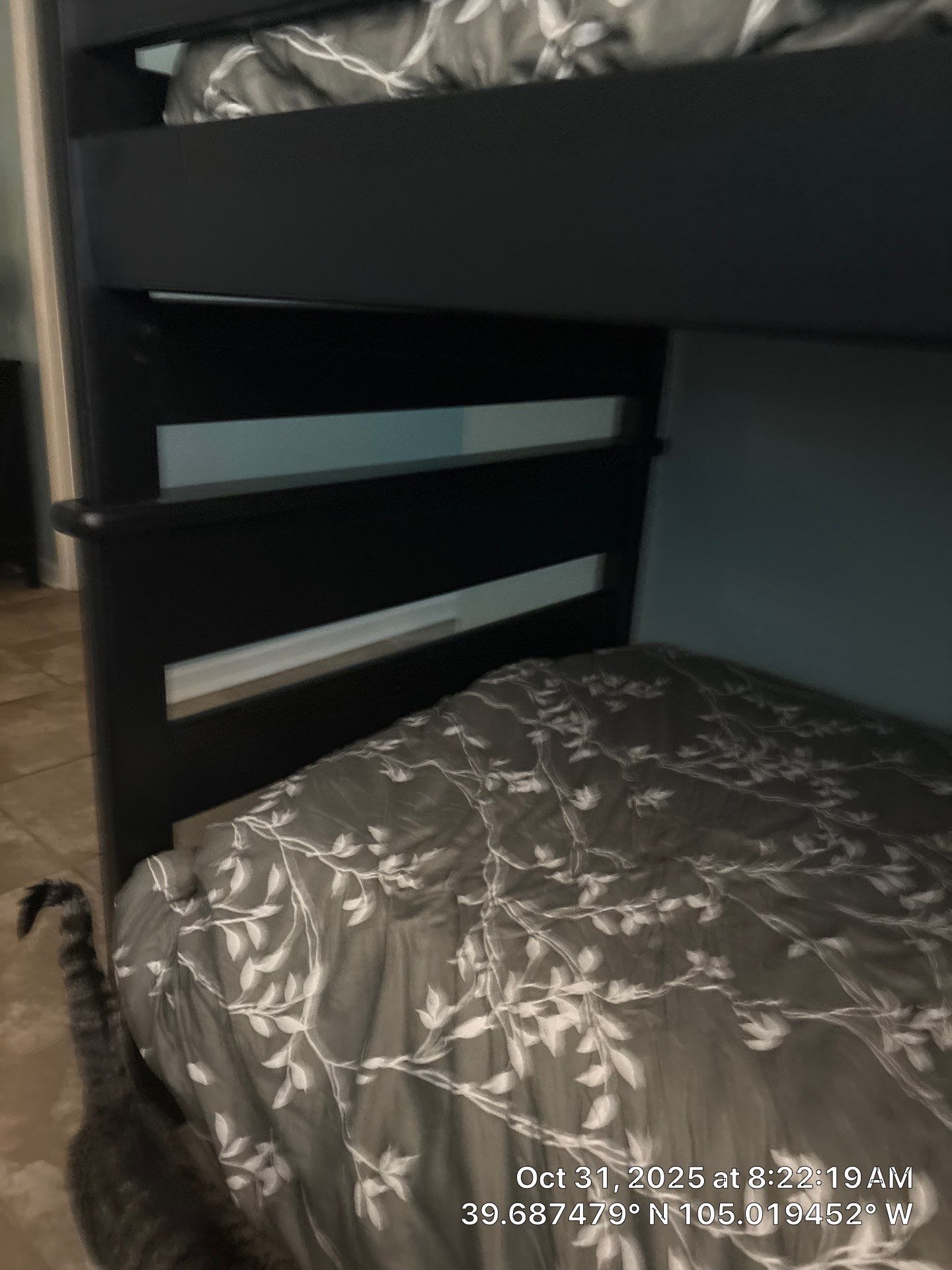 Shaggy by CompanyCam Sales Demo