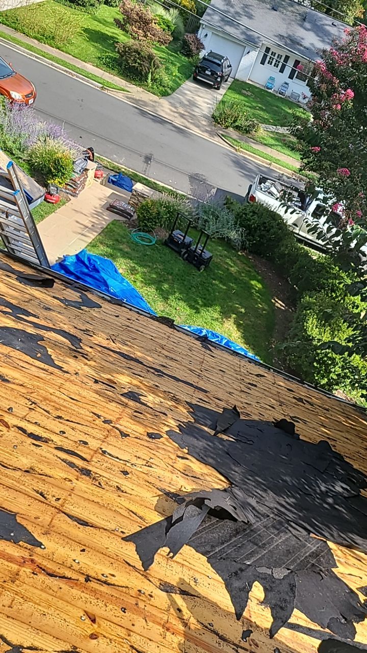 Arlington: CertainTeed Landmark Pro Designer Shingles in Max Def Heather Blend by RM Banning, Inc.