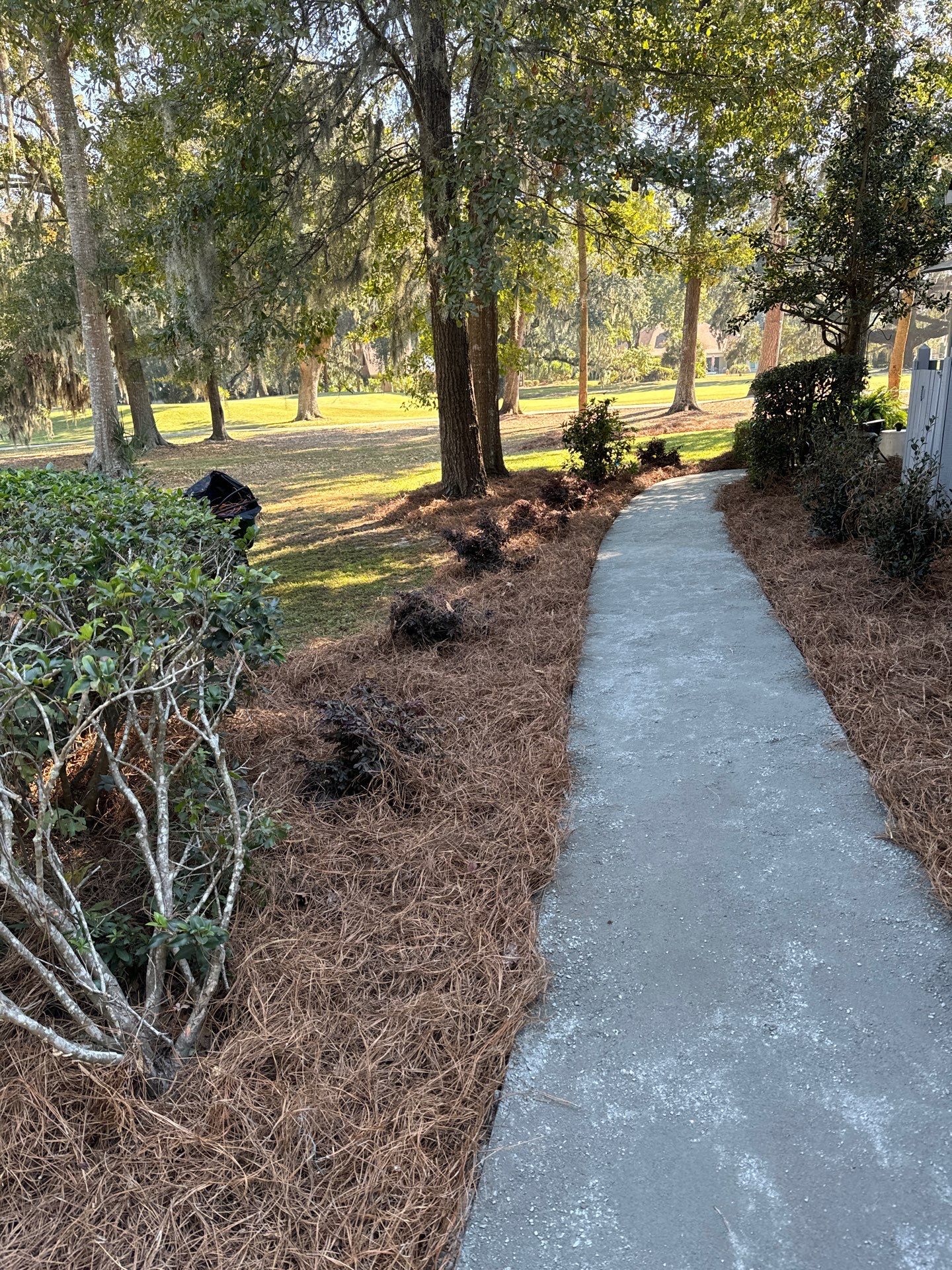 Concrete Walkway Installation and Landscape Refresh in Hilton Head Island by Lowcountry Scapes, LLC