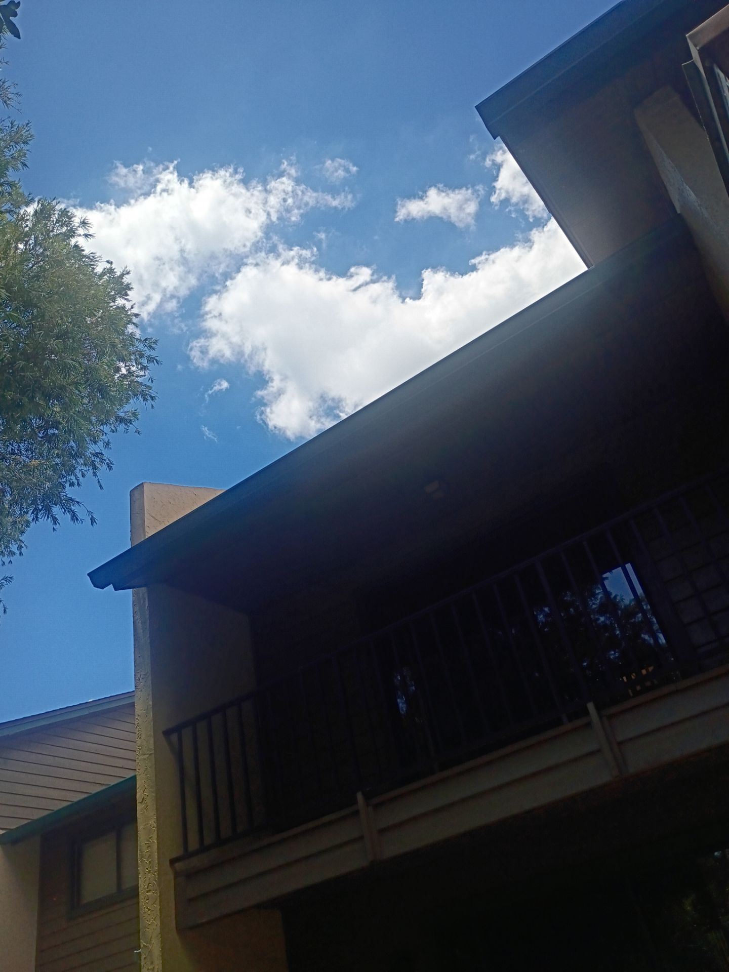 Leaf Guard using Gutter Guards & 3X4Downspoutsts in Sarasota FL by Gutter Professors